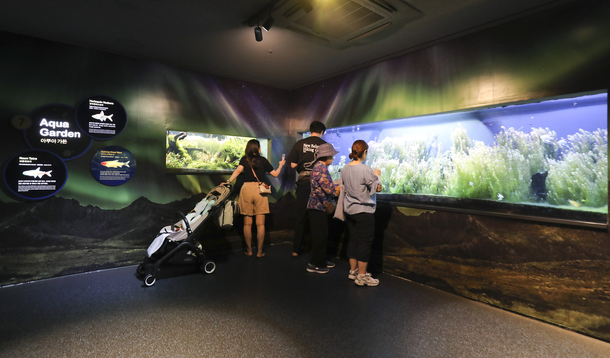 63빌딩아쿠아;63빌딩수족관;아쿠아플라넷63;63스퀘어수족관