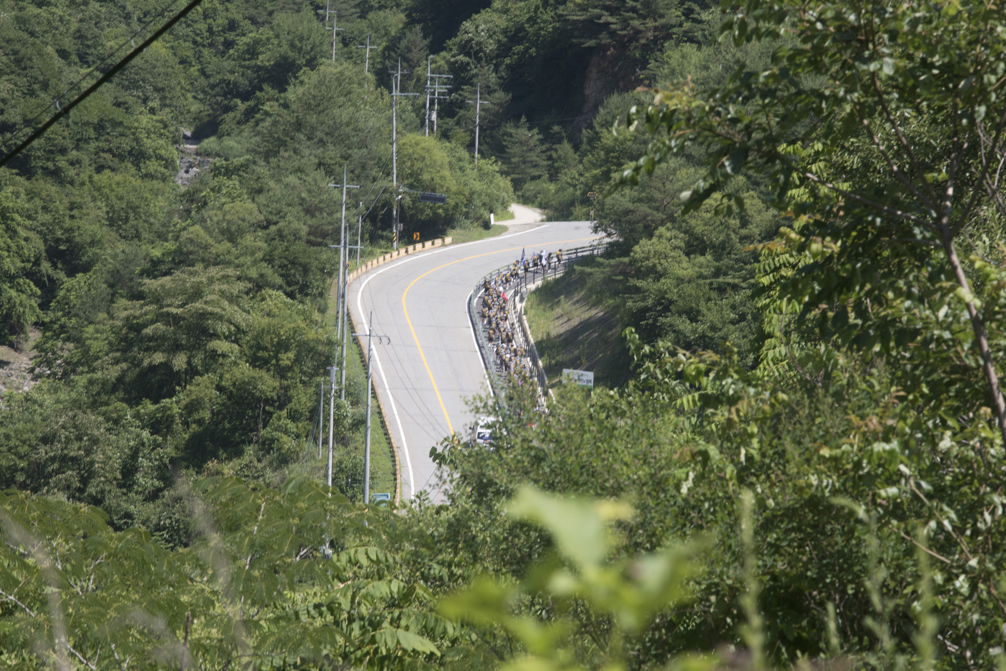사회;국토대장정;재향군인회;향군
