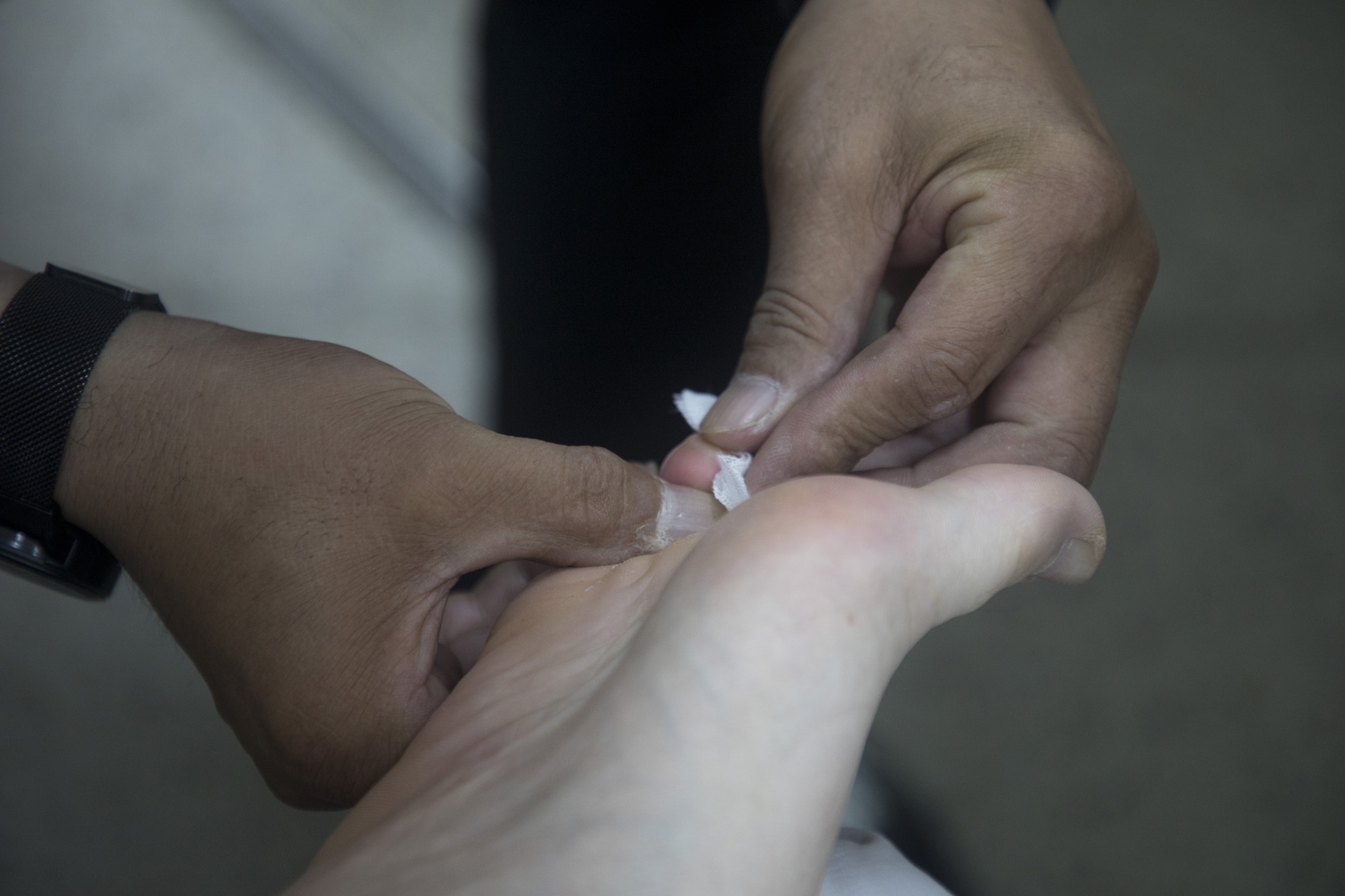 사회;국토대장정;재향군인회;향군