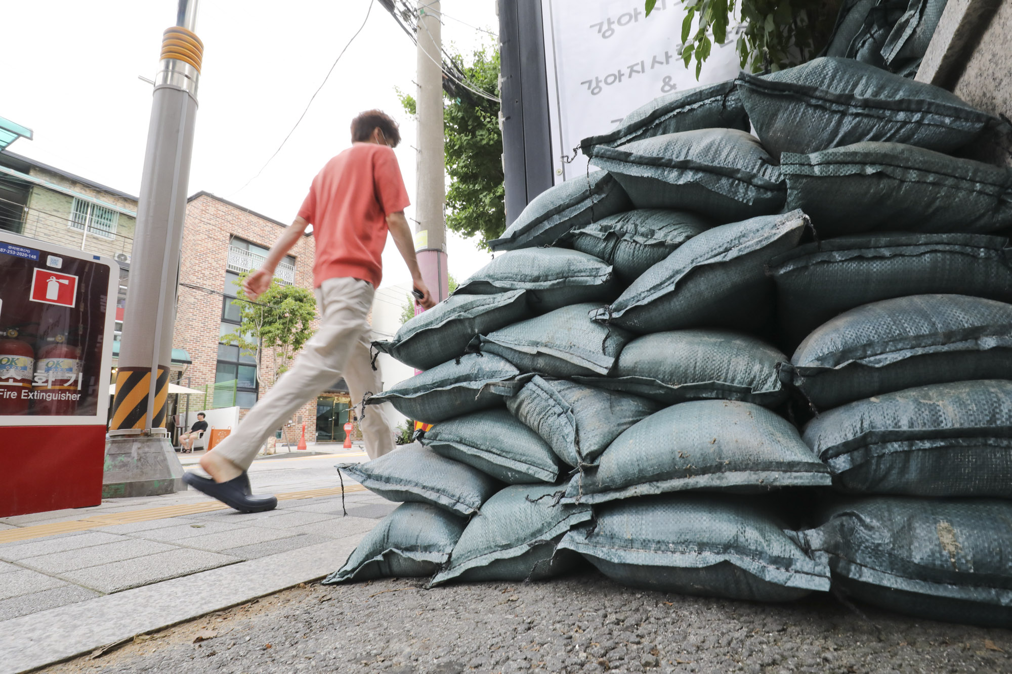 장마;침수;폭우