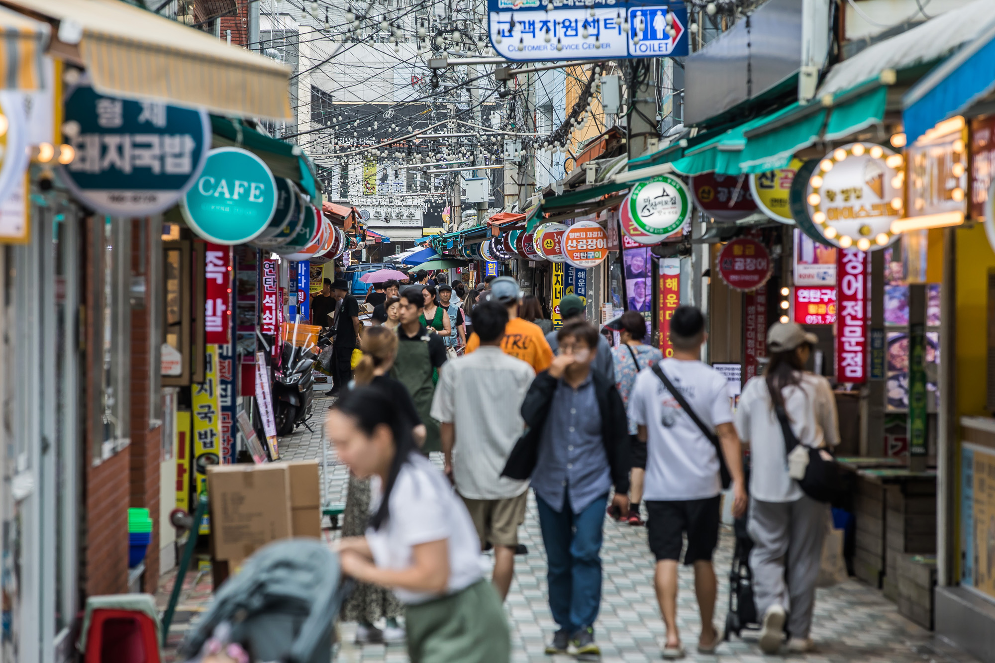 정치;정당;여당;국민의힘;국민의힘전당대회;국민의힘당대표;당권주자;영남권민심;국민의힘텃밭;국민의힘PKTK합동연설회;한동훈;원희룡;나경원;윤상현;부산민심;부산해운대전통시장;해운대시장