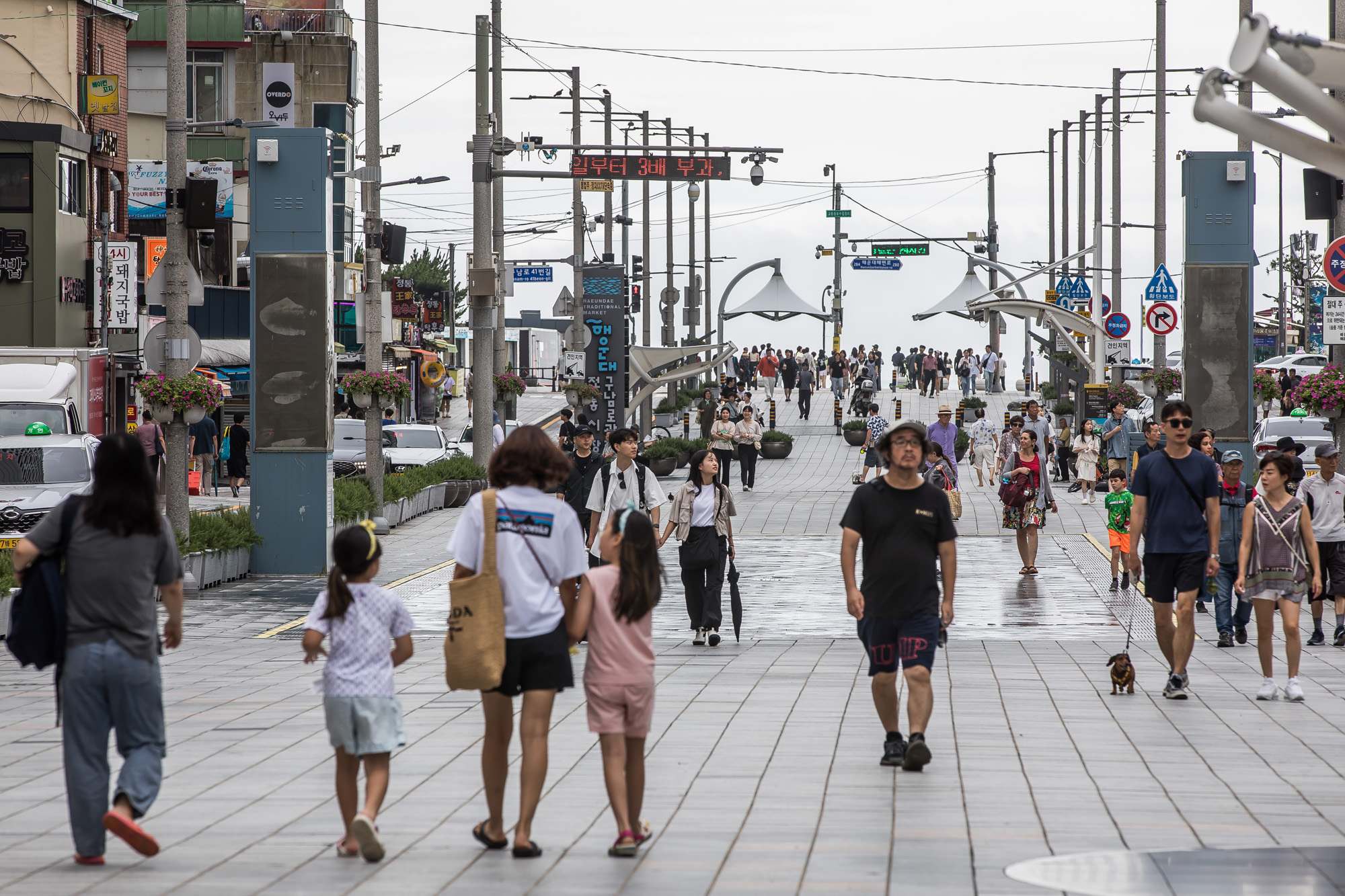 정치;정당;여당;국민의힘;국민의힘전당대회;국민의힘당대표;당권주자;영남권민심;국민의힘텃밭;국민의힘PKTK합동연설회;한동훈;원희룡;나경원;윤상현;부산민심;부산해운대전통시장;해운대시장