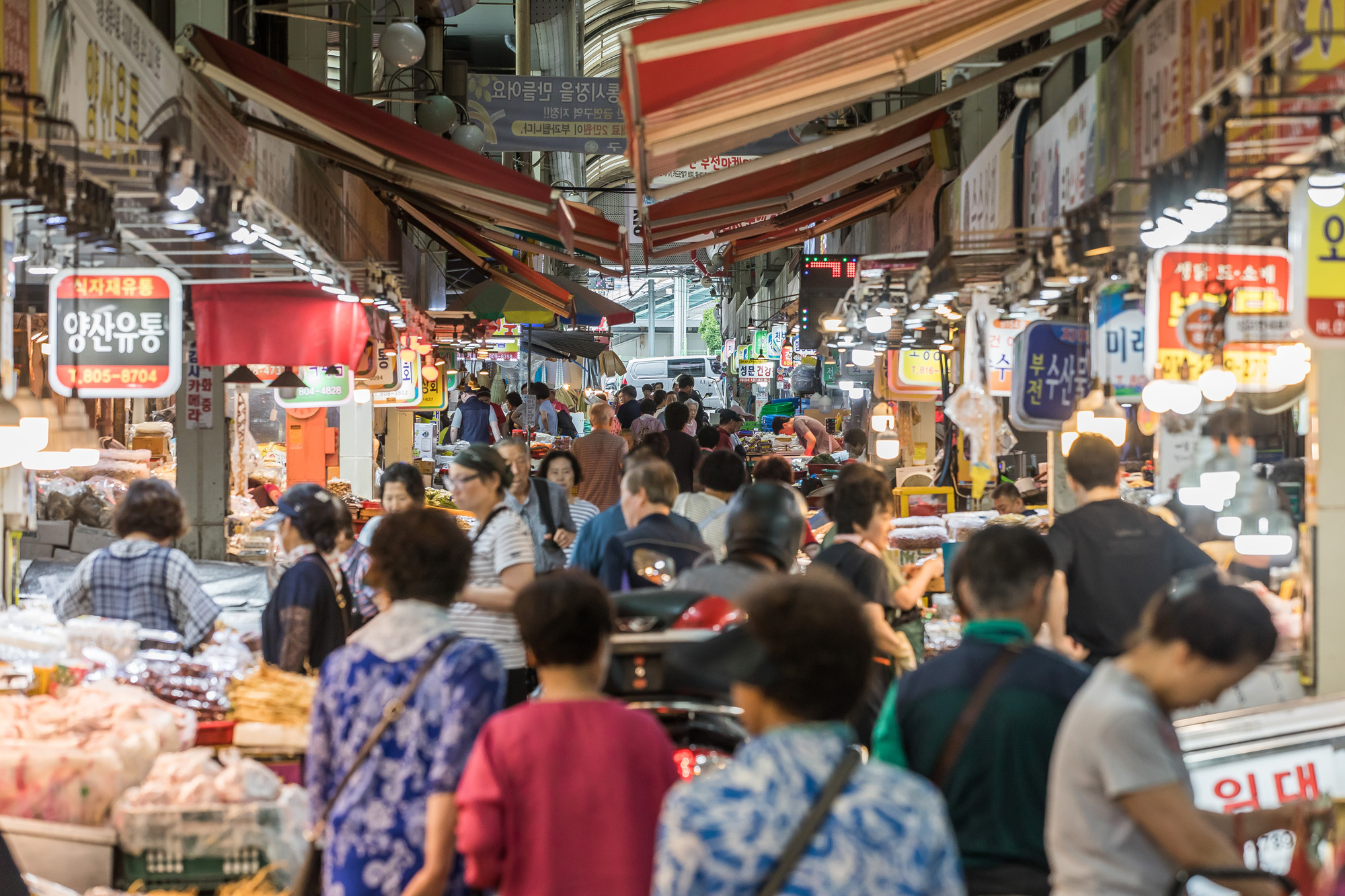 정치;정당;여당;국민의힘;국민의힘전당대회;국민의힘당대표;당권주자;영남권민심;국민의힘텃밭;국민의힘PKTK합동연설회;한동훈;원희룡;나경원;윤상현;부산민심;부산부전시장;서면젊음의거리