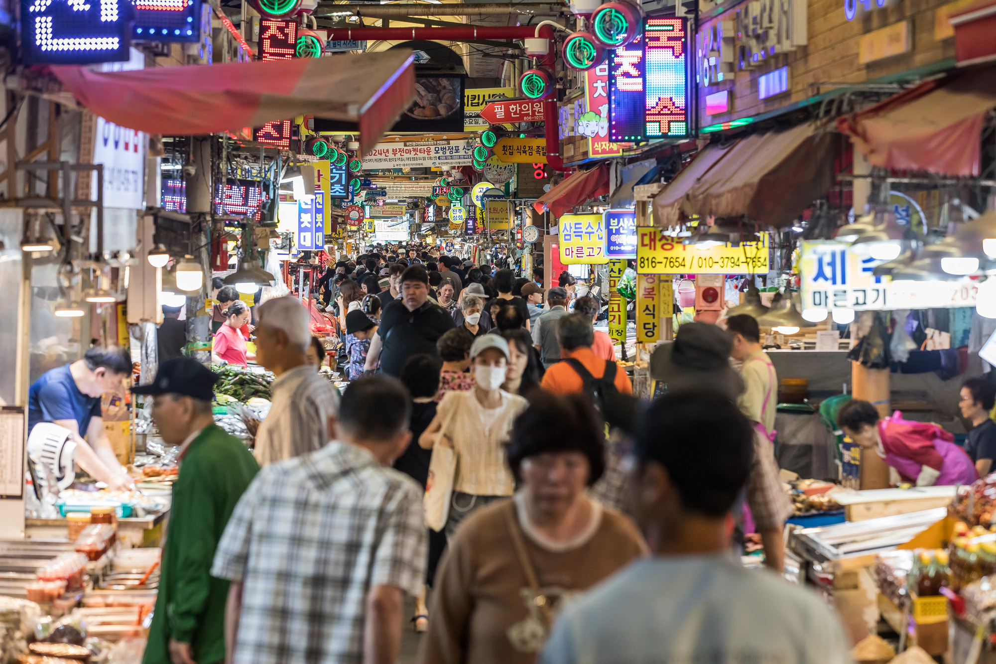 정치;정당;여당;국민의힘;국민의힘전당대회;국민의힘당대표;당권주자;영남권민심;국민의힘텃밭;국민의힘PKTK합동연설회;한동훈;원희룡;나경원;윤상현;부산민심;부산부전시장;서면젊음의거리