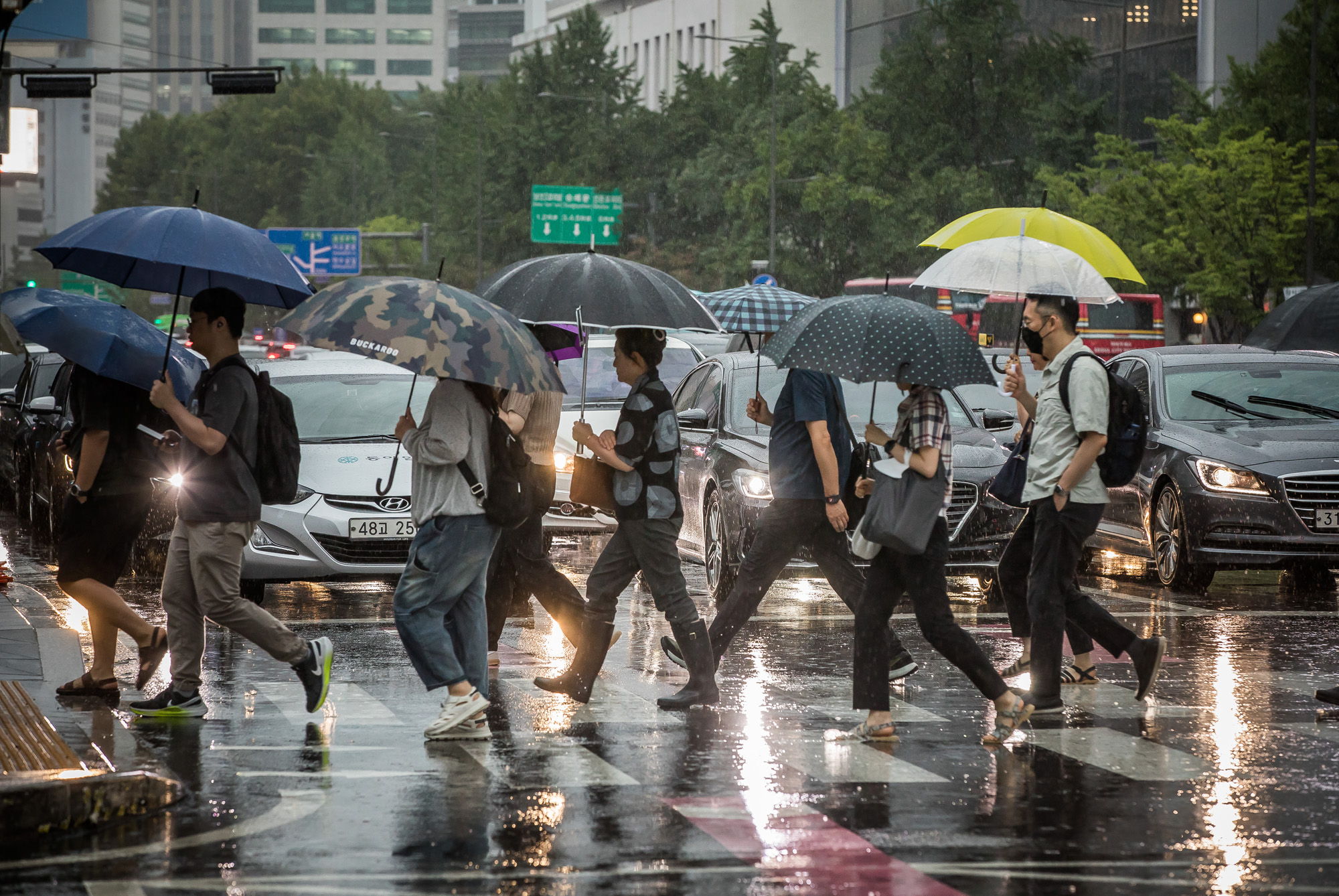 사회;세태;계절;여름;장마;장마철;장마철집중호우;호우경보;광화문사거리;광화문네거리;장마철출근길