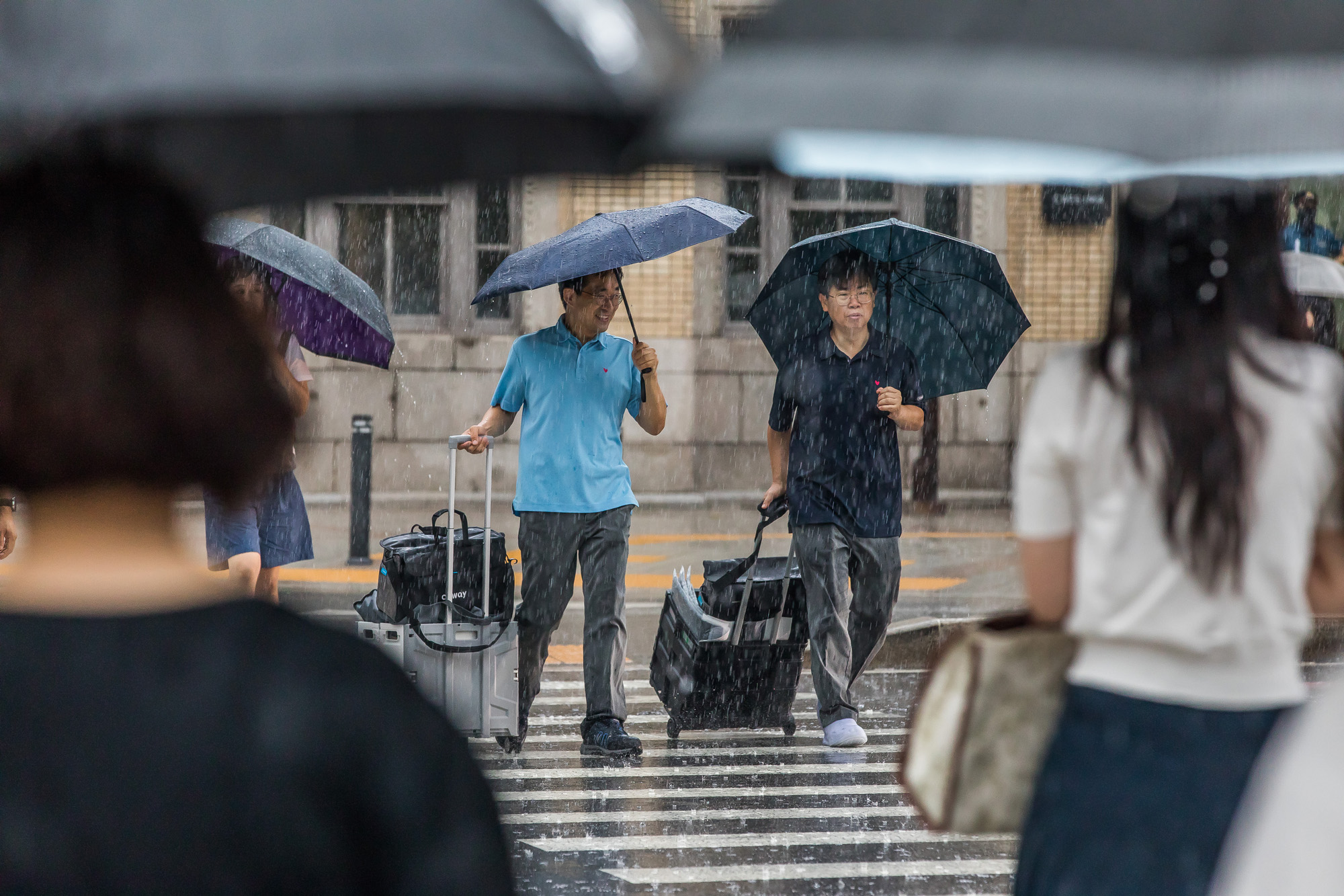 사회;세태;계절;여름;장마;장마철;장마철집중호우;호우경보;광화문사거리;광화문네거리;장마철출근길