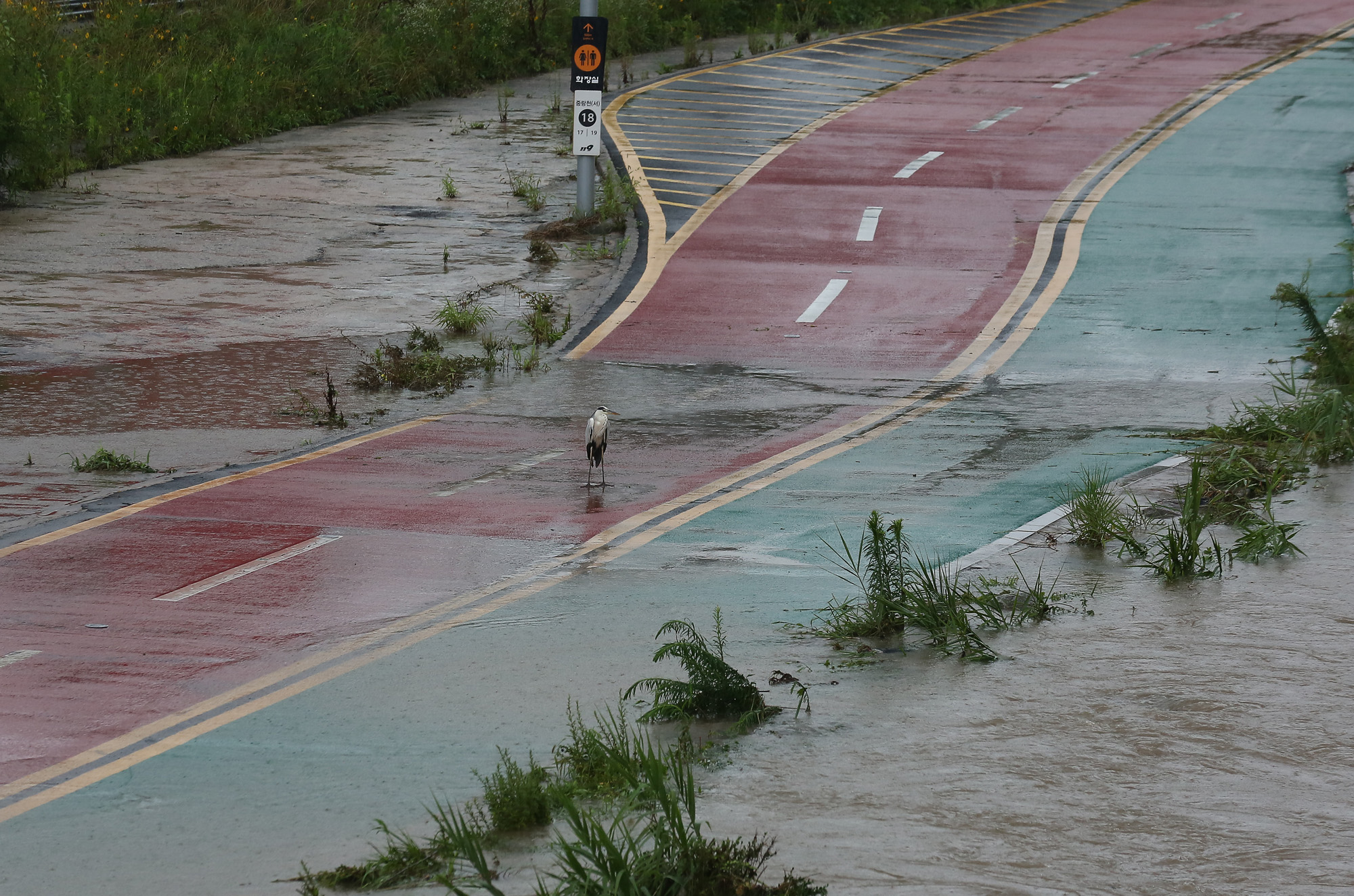 중랑천 동부간선도로