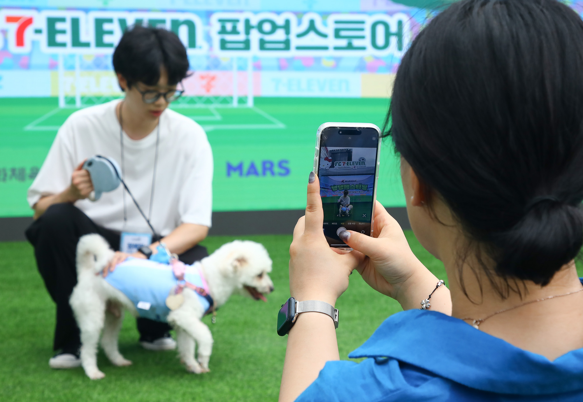 K리그 댕댕페스티벌;FC;세븐일레븐