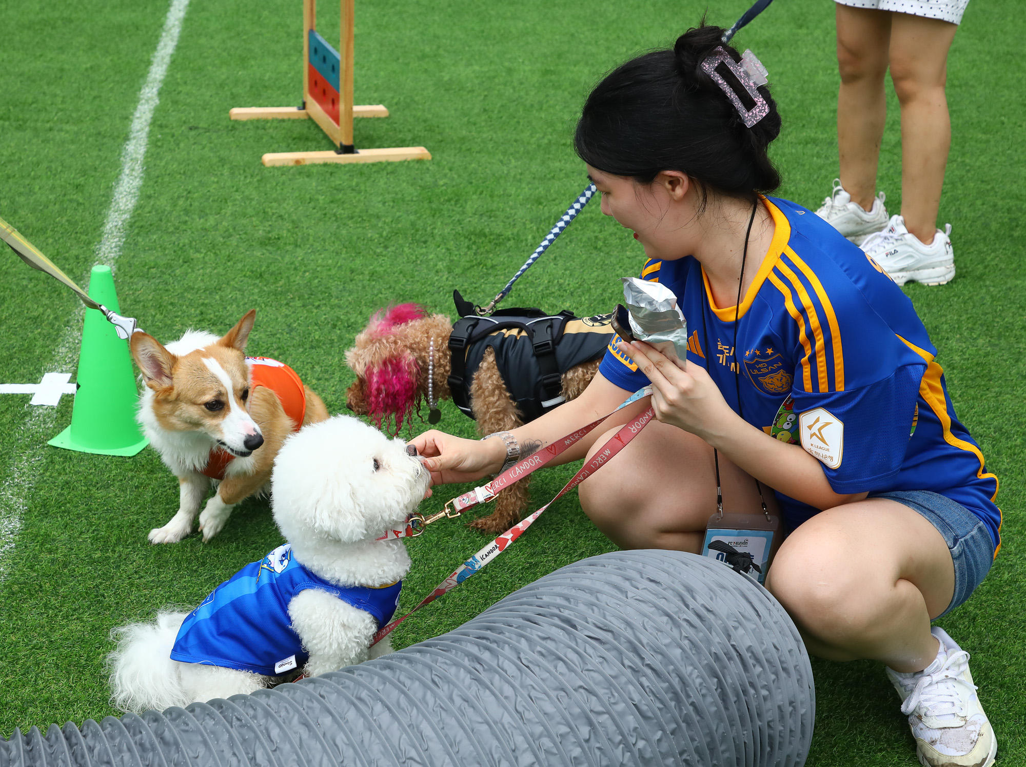 K리그 댕댕페스티벌;FC;세븐일레븐