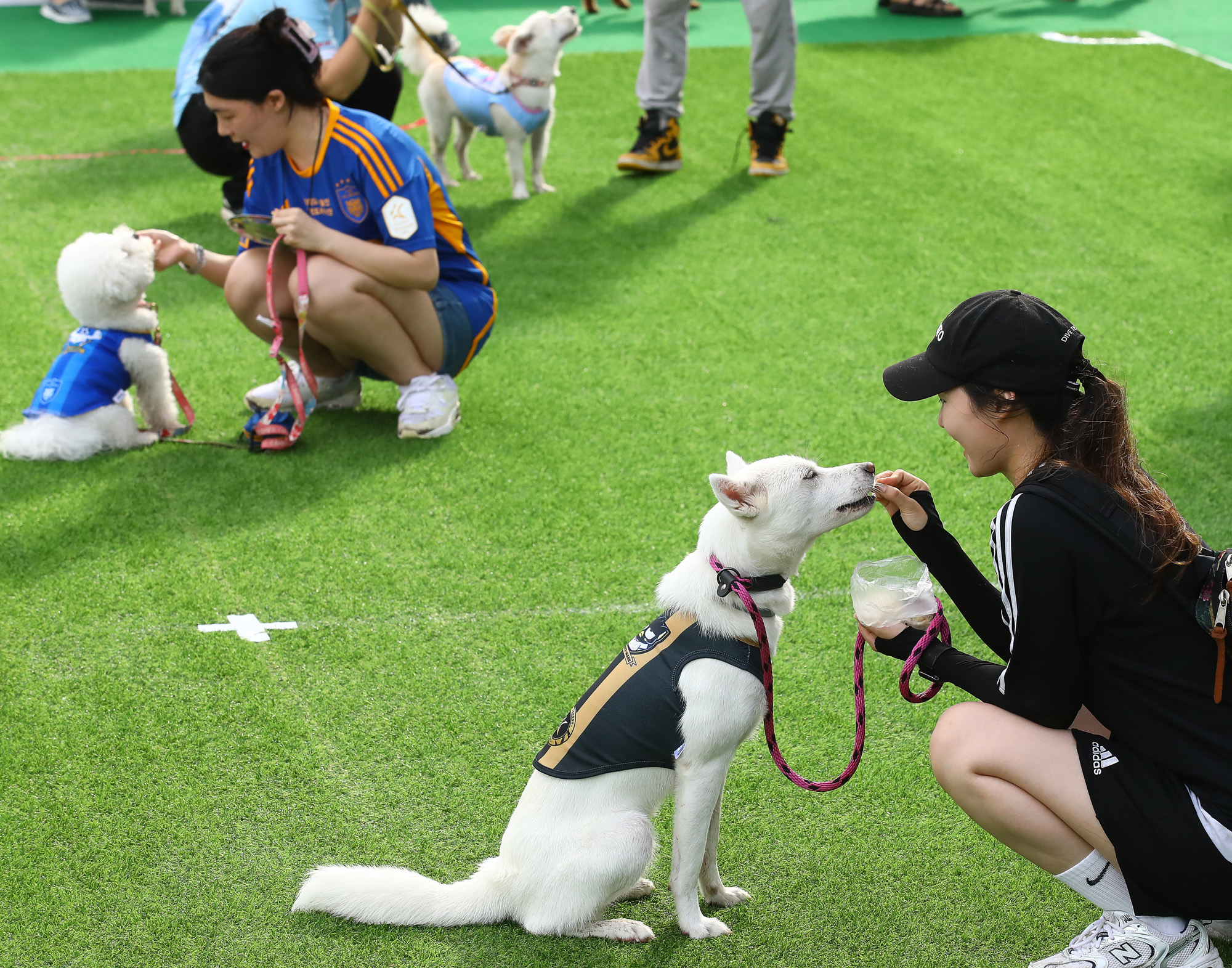 K리그 댕댕페스티벌;FC;세븐일레븐