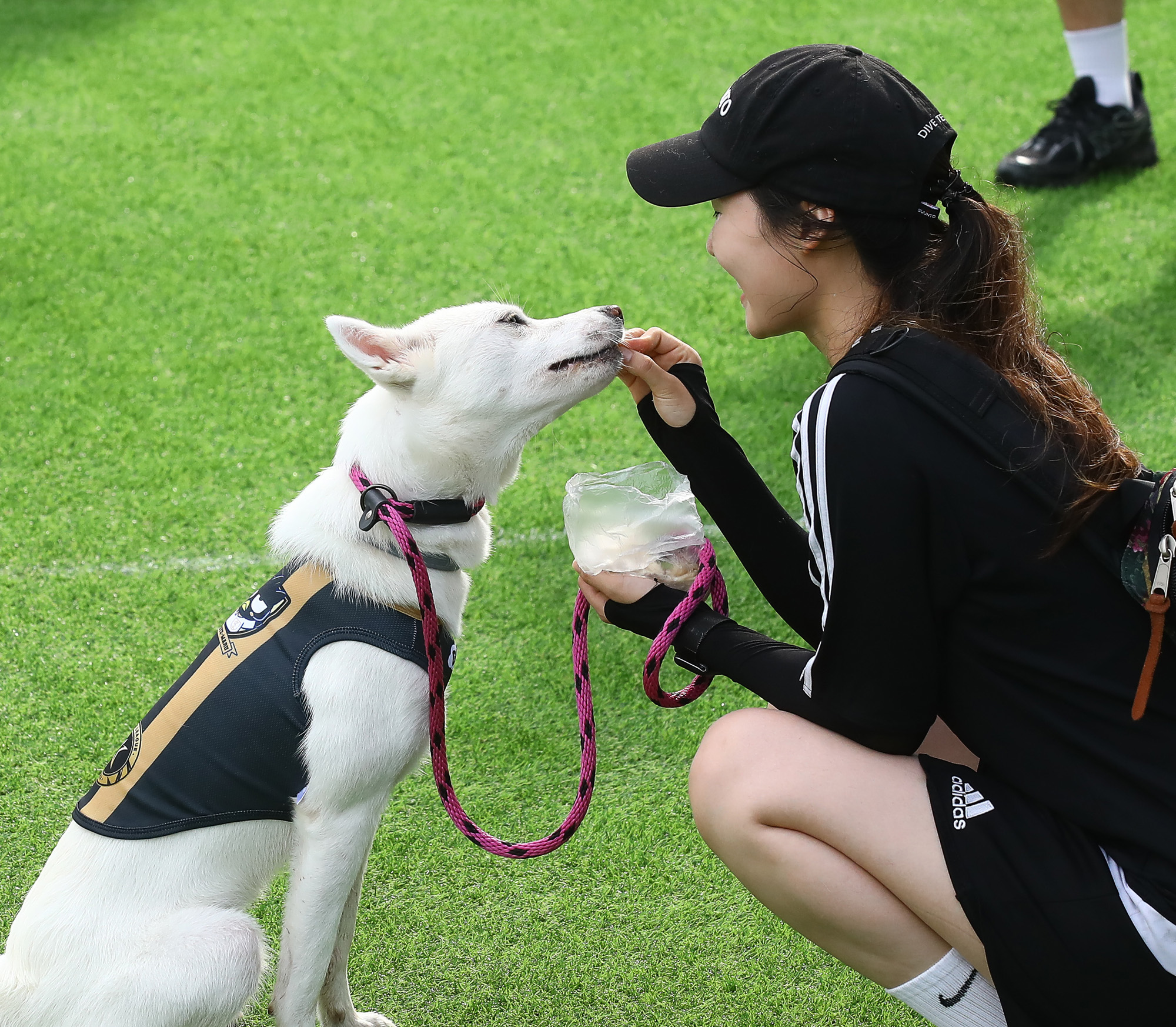 K리그 댕댕페스티벌;FC;세븐일레븐