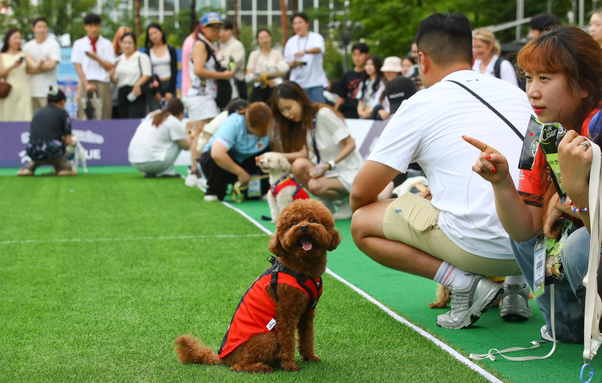 K리그 댕댕페스티벌;FC;세븐일레븐