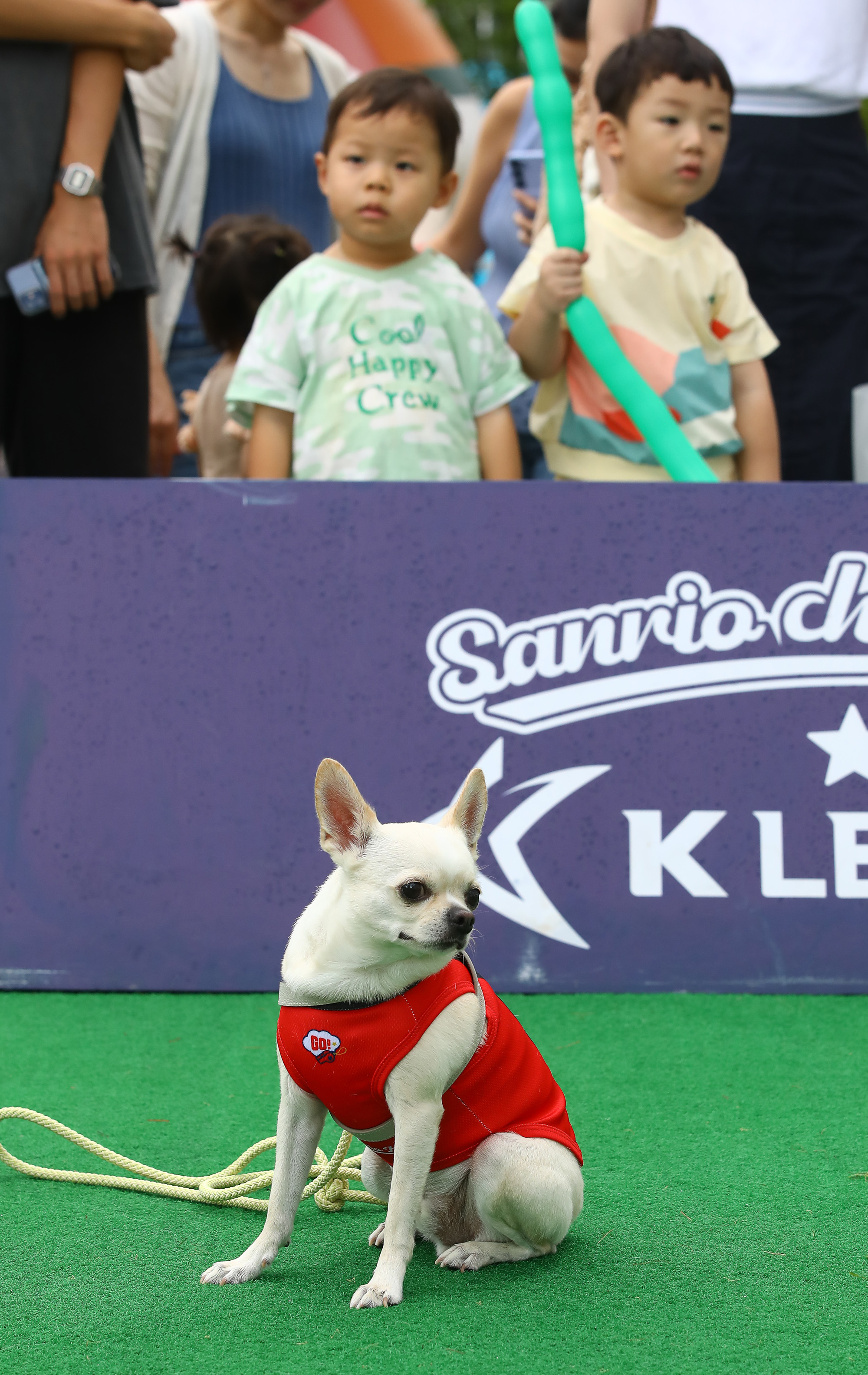 K리그 댕댕페스티벌;FC;세븐일레븐