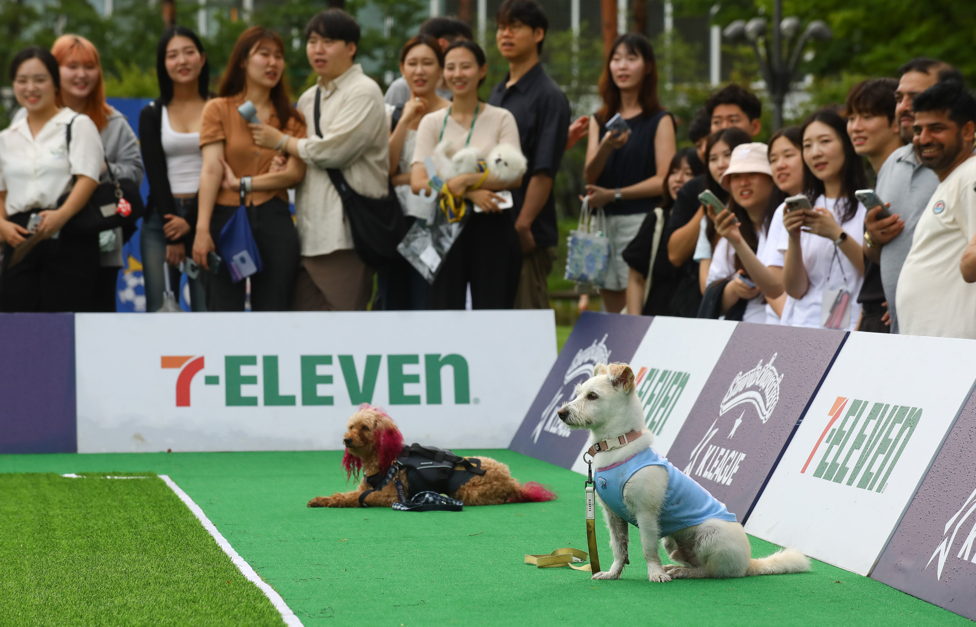 K리그 댕댕페스티벌;FC;세븐일레븐