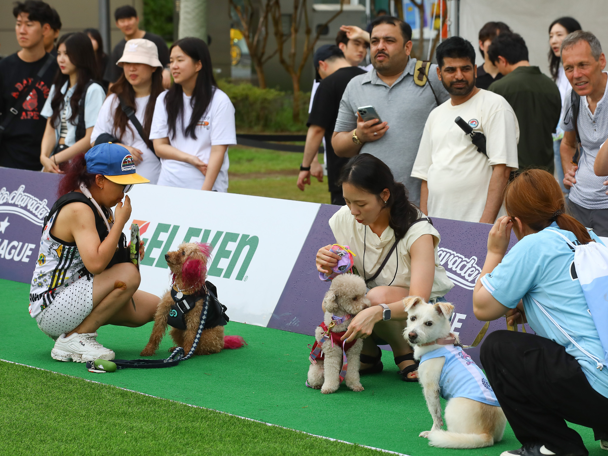 K리그 댕댕페스티벌;FC;세븐일레븐