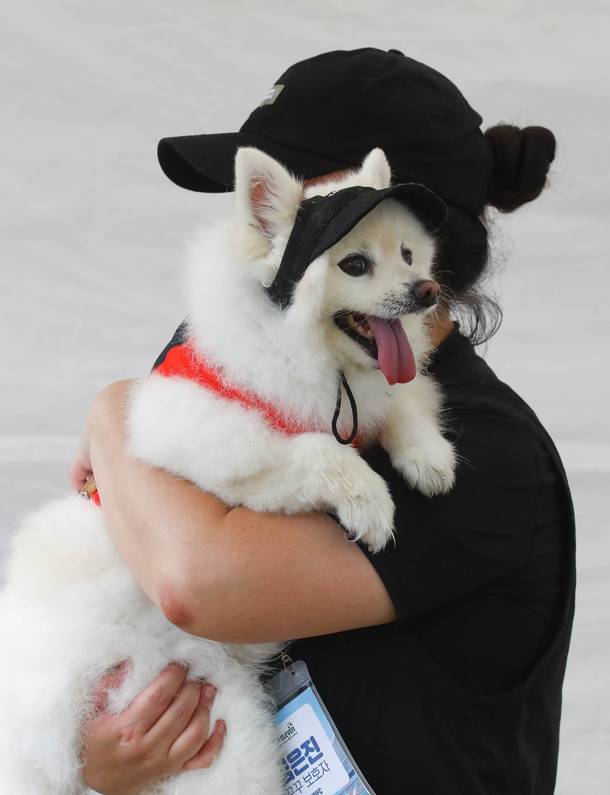 K리그 댕댕페스티벌;FC;세븐일레븐