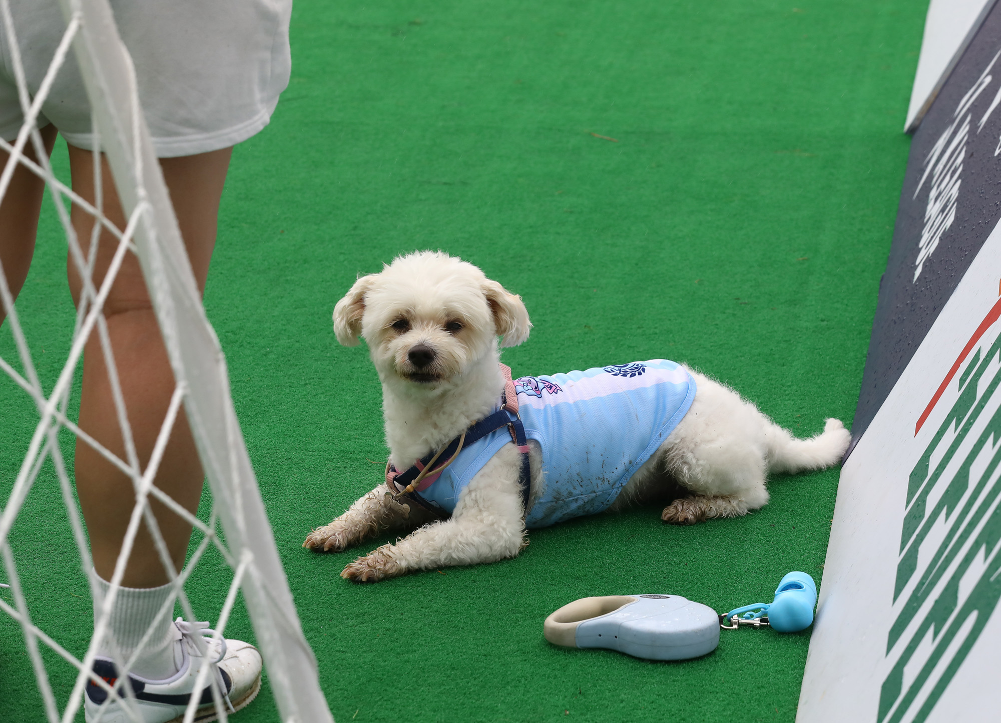 K리그 댕댕페스티벌;FC;세븐일레븐