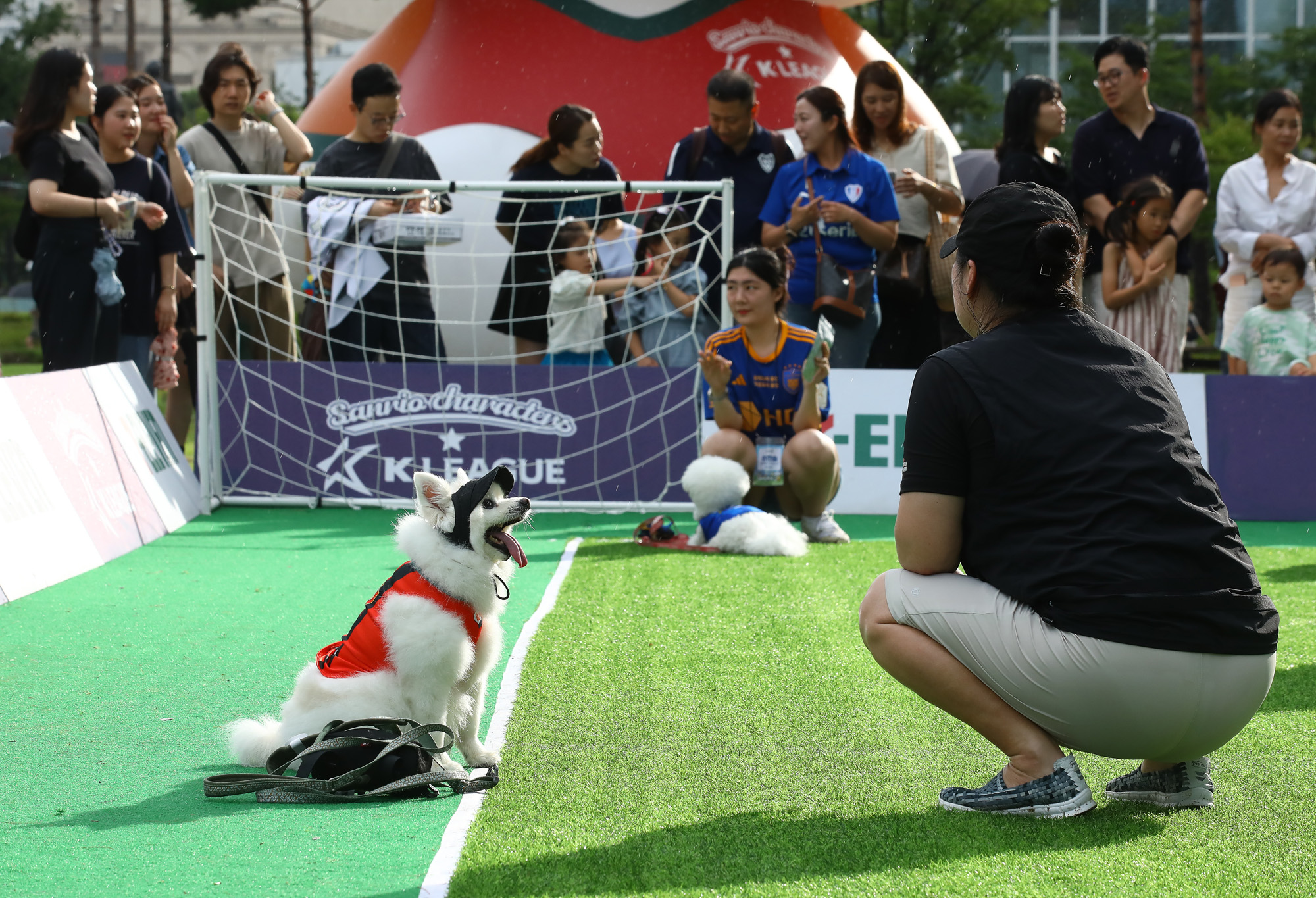 K리그 댕댕페스티벌;FC;세븐일레븐