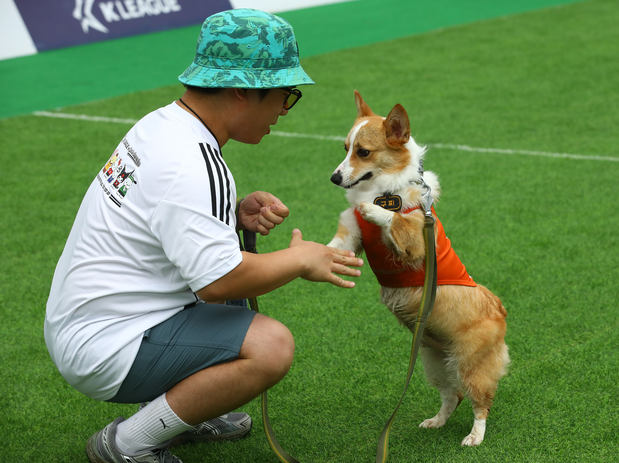 K리그 댕댕페스티벌;FC;세븐일레븐