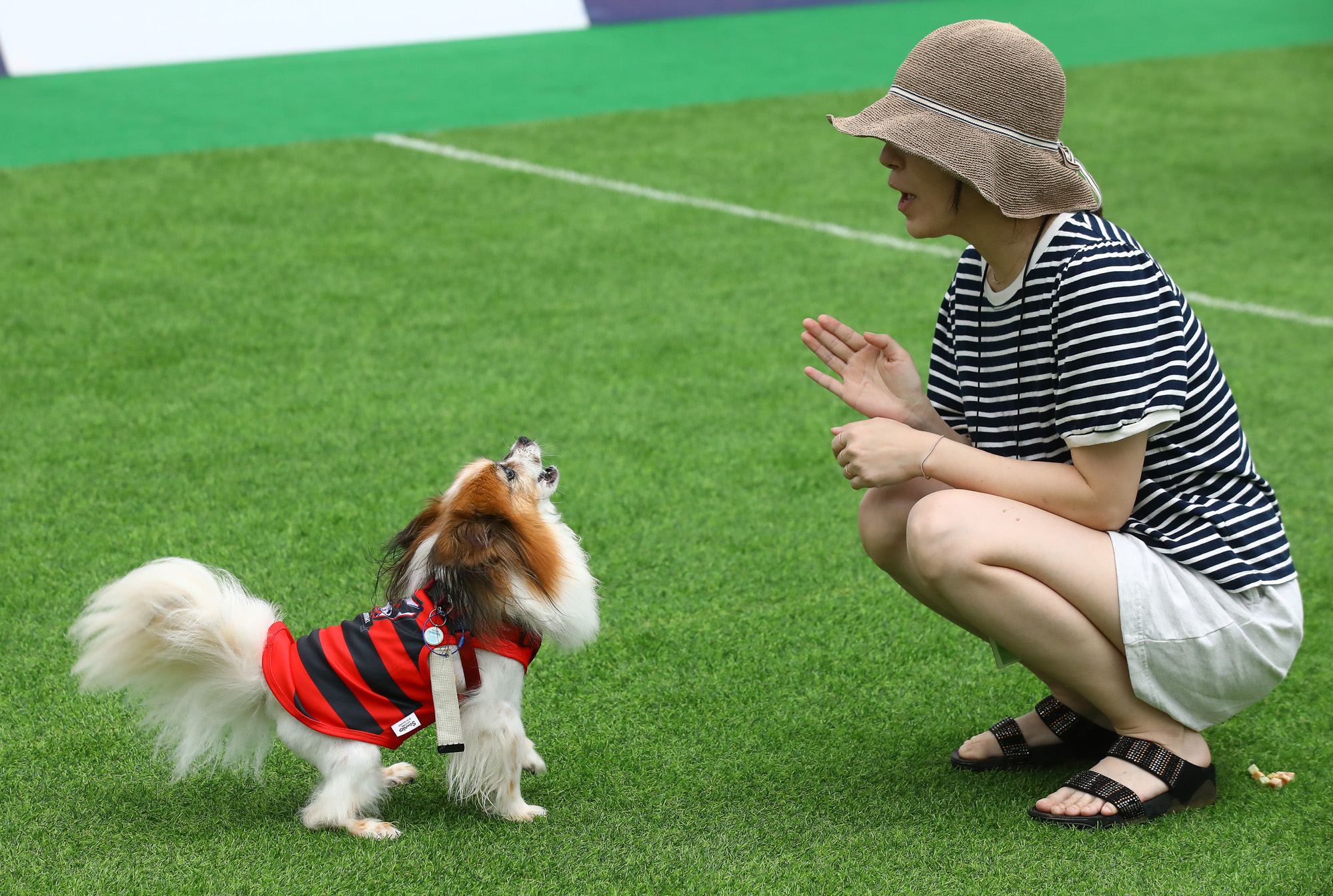 K리그 댕댕페스티벌;FC;세븐일레븐