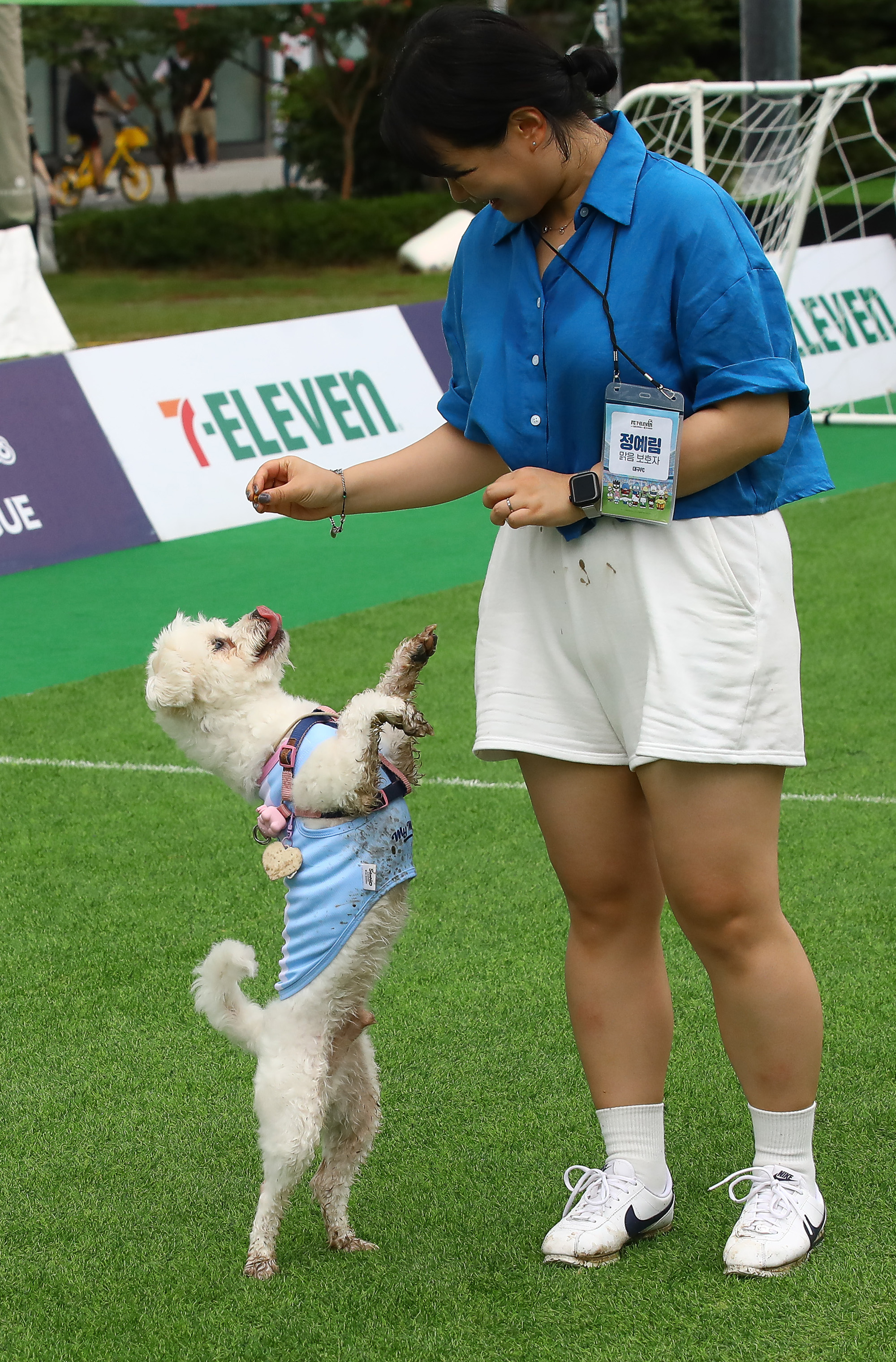 K리그 댕댕페스티벌;FC;세븐일레븐