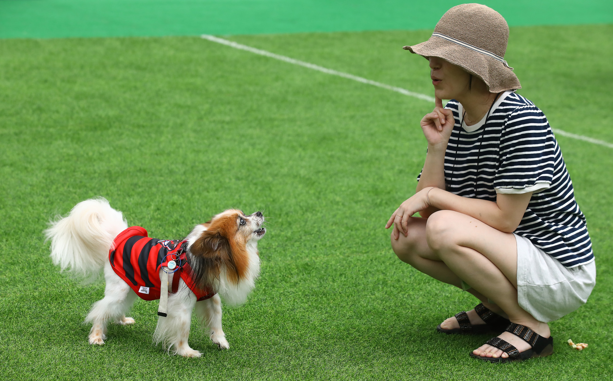 K리그 댕댕페스티벌;FC;세븐일레븐