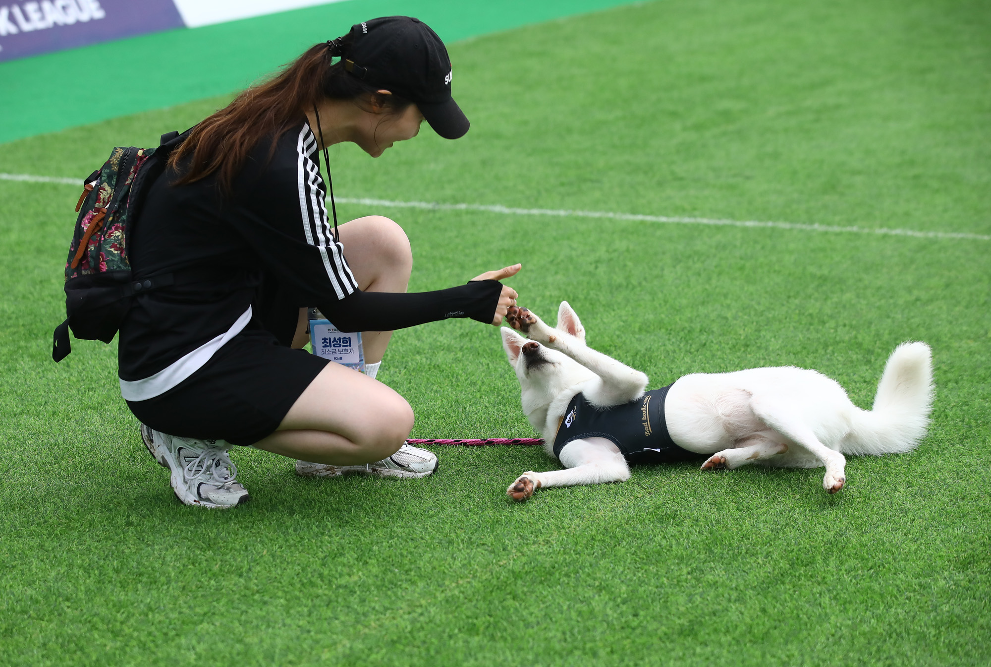 K리그 댕댕페스티벌;FC;세븐일레븐