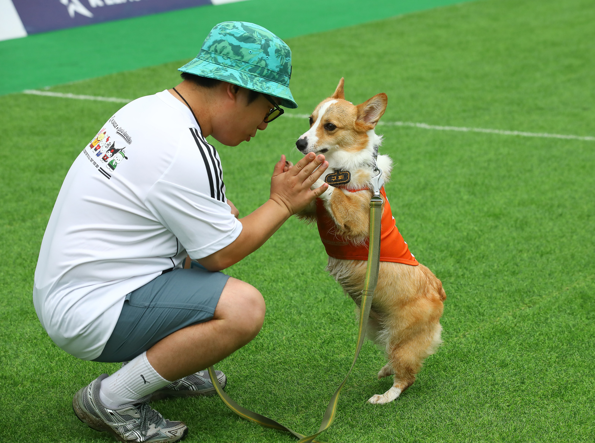 K리그 댕댕페스티벌;FC;세븐일레븐