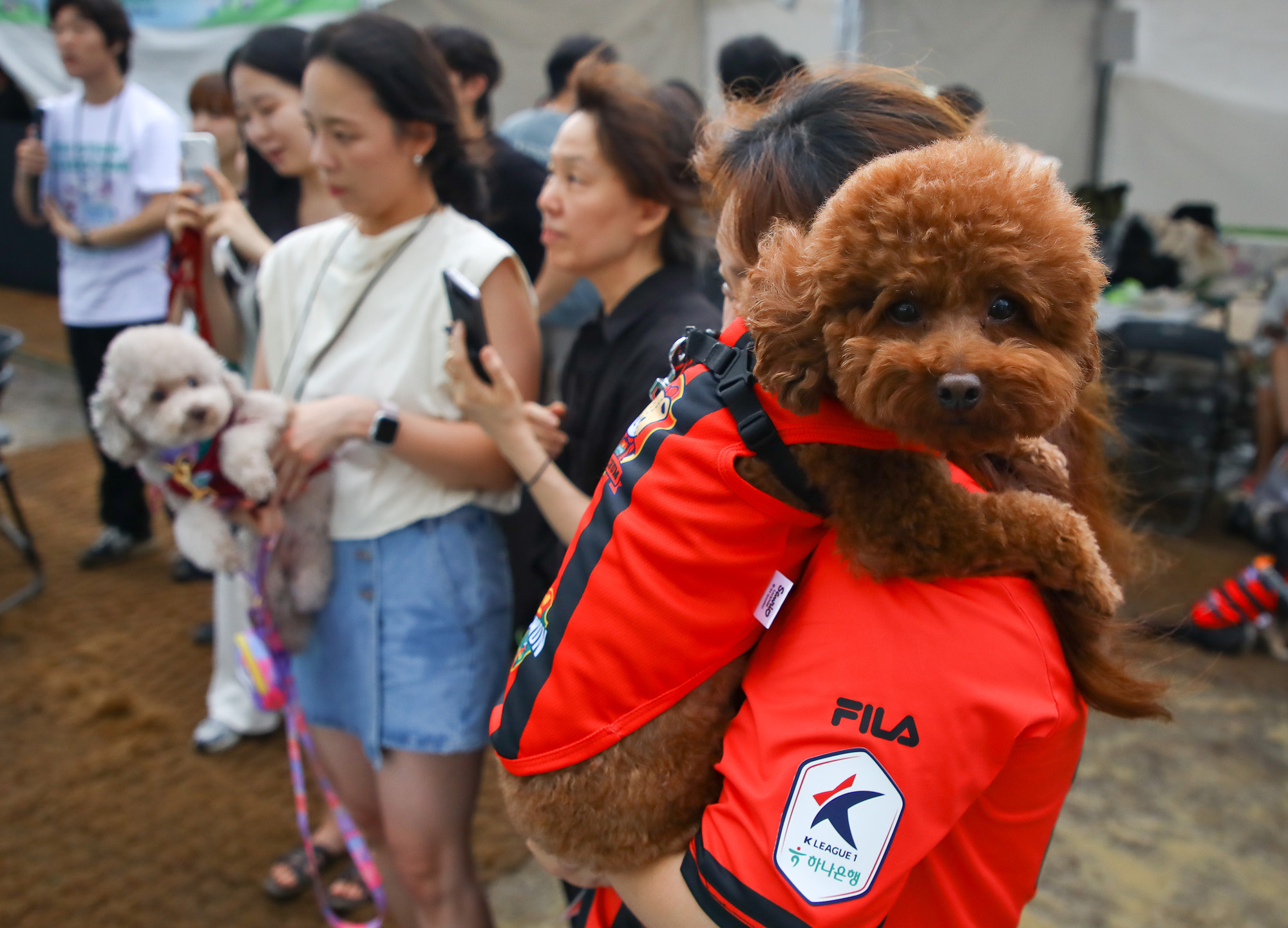 K리그 댕댕페스티벌;FC;세븐일레븐