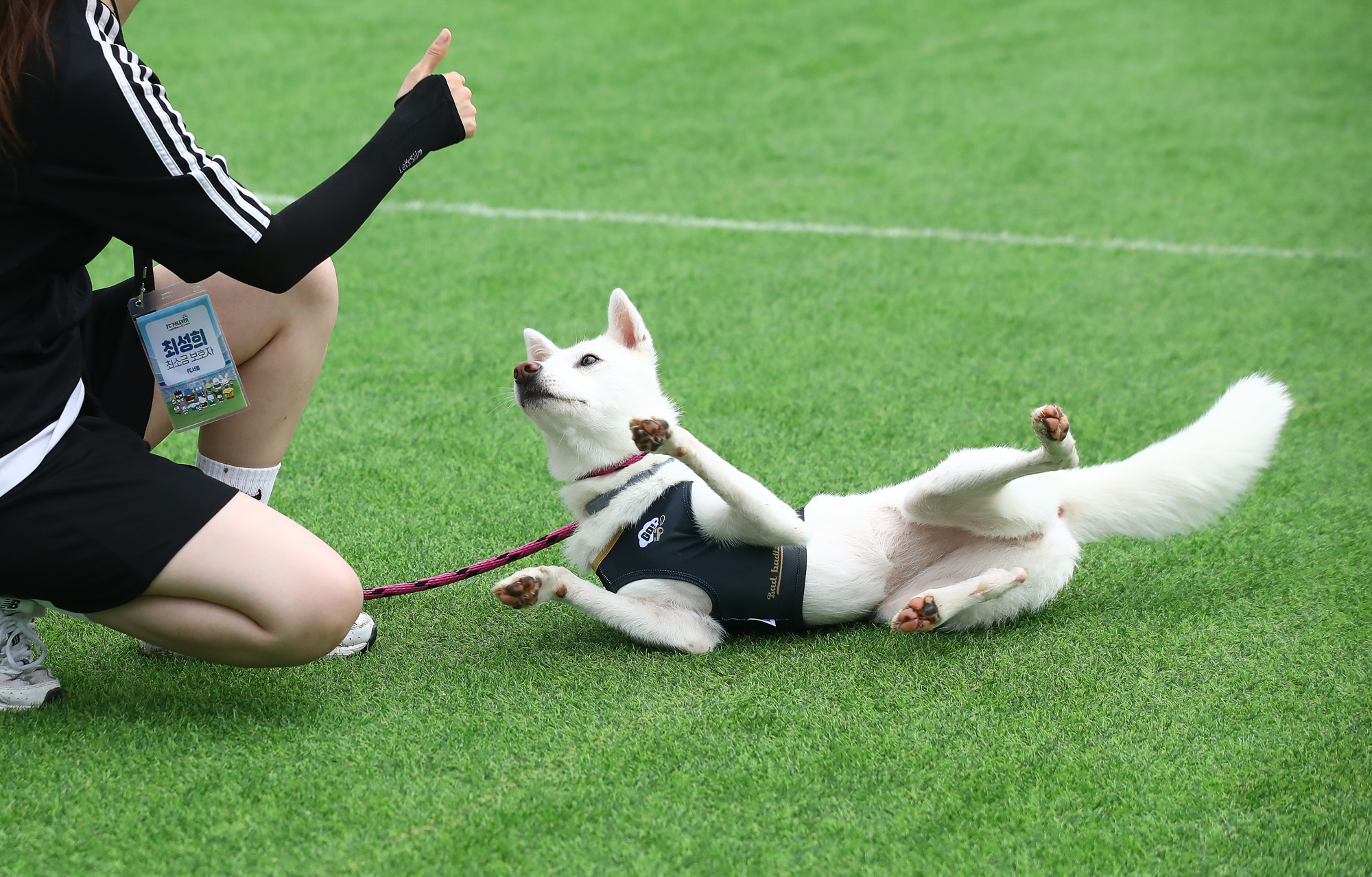 K리그 댕댕페스티벌;FC;세븐일레븐