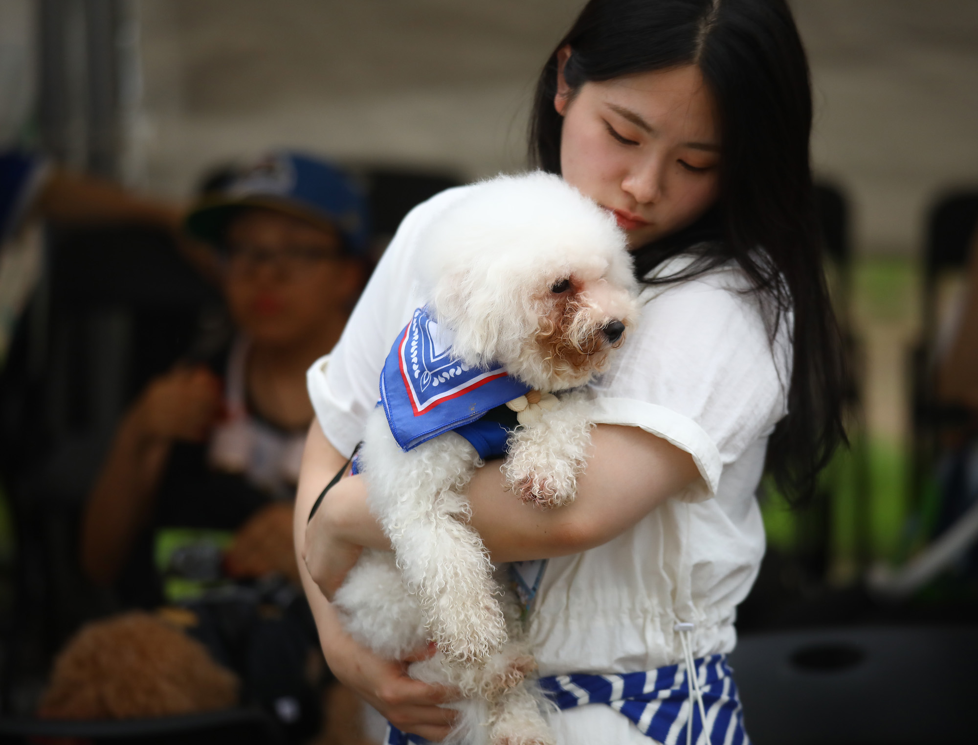 K리그 댕댕페스티벌;FC;세븐일레븐