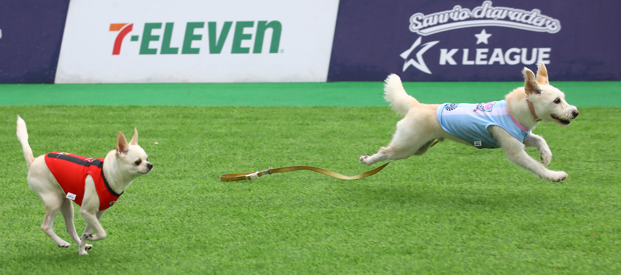 K리그 댕댕페스티벌;FC;세븐일레븐