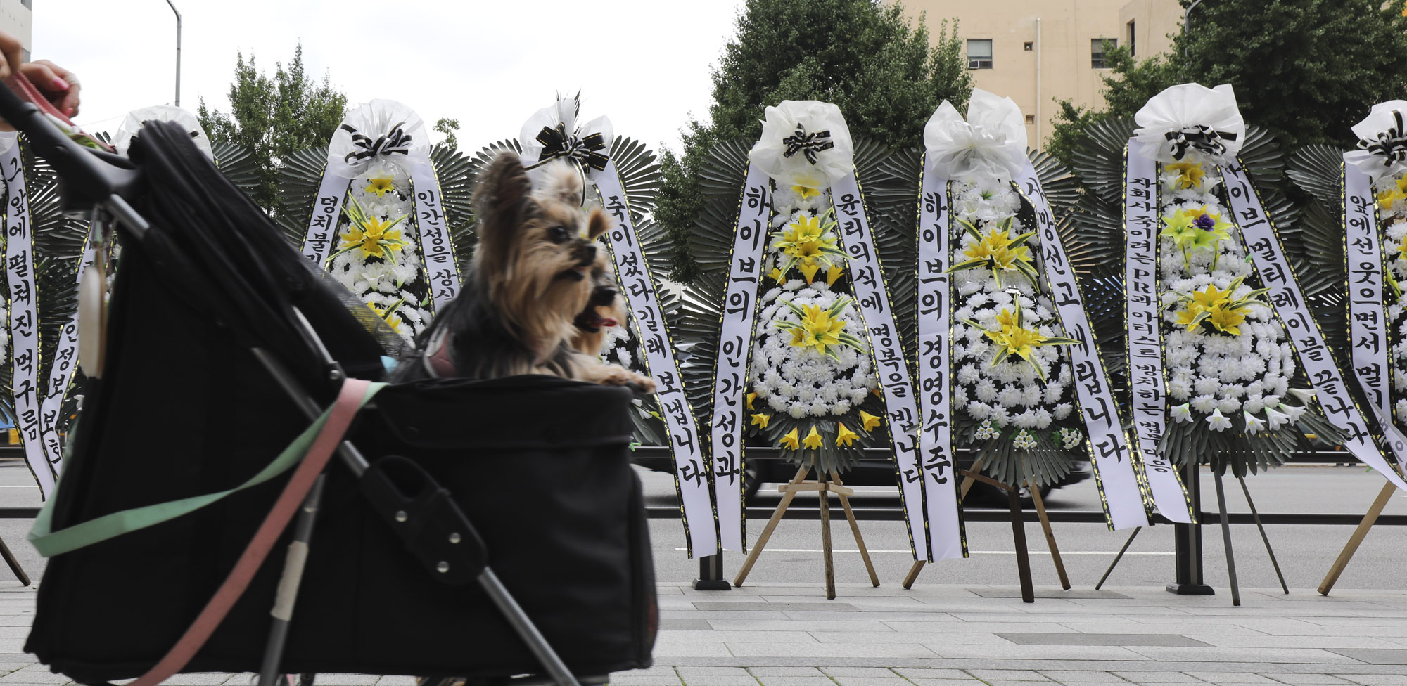 하이브;민희진;버니즈;뉴진스;근조화환;팬시위