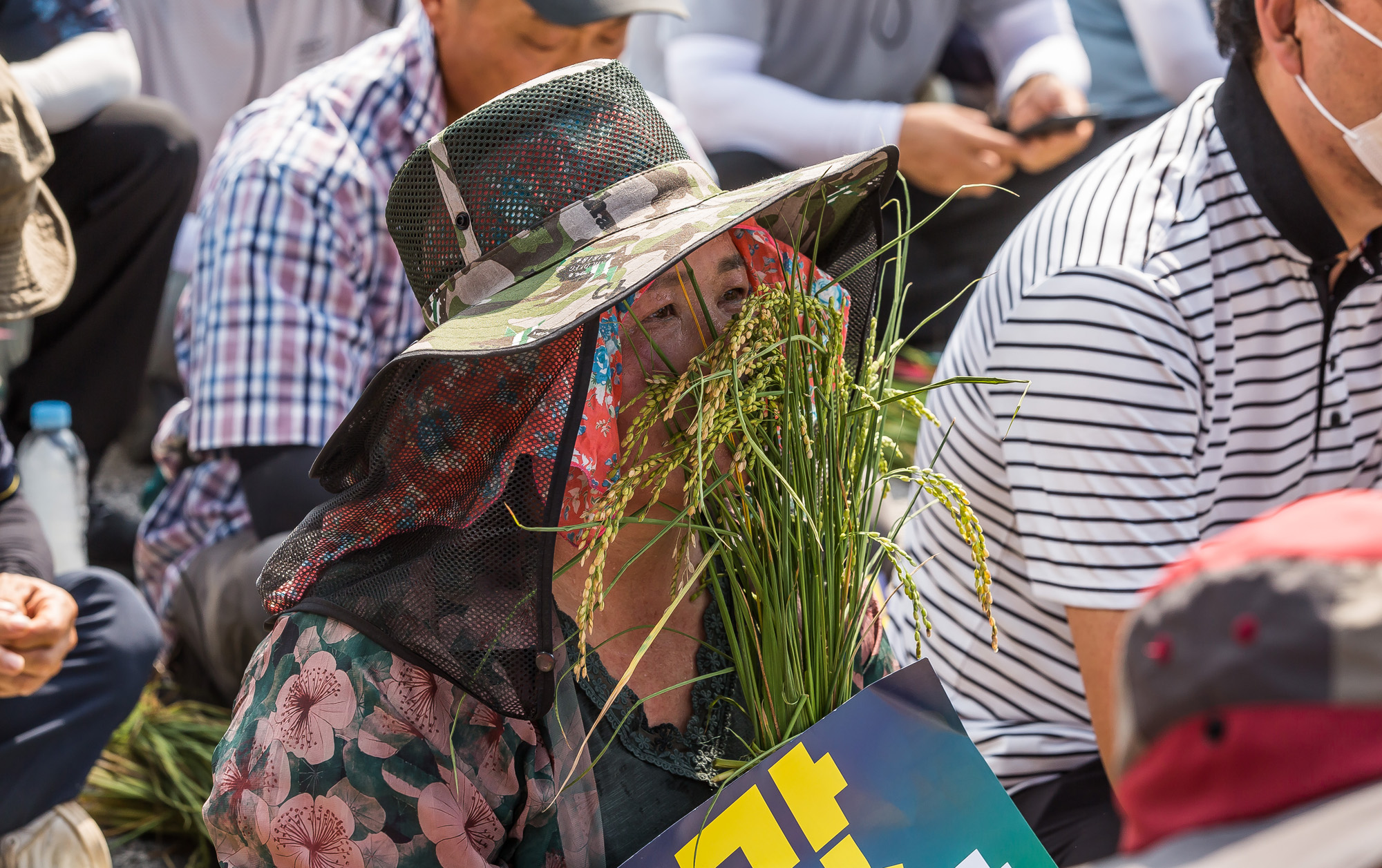 사회;집회;시위;전국농민회총연맹;전국쌀생산자협회;농민단체;쌀값보장농민대회;쌀값대폭락;농민생존권보장촉구