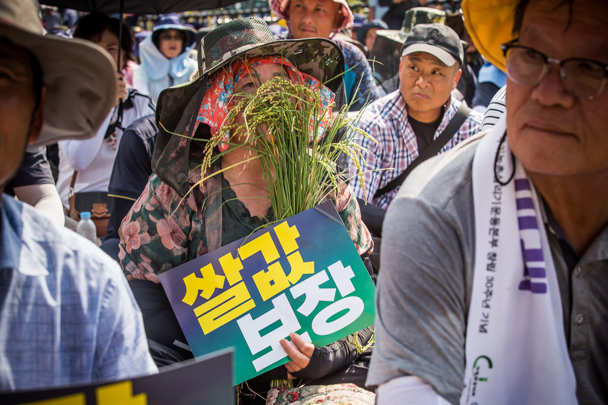 사회;집회;시위;전국농민회총연맹;전국쌀생산자협회;농민단체;쌀값보장농민대회;쌀값대폭락;농민생존권보장촉구