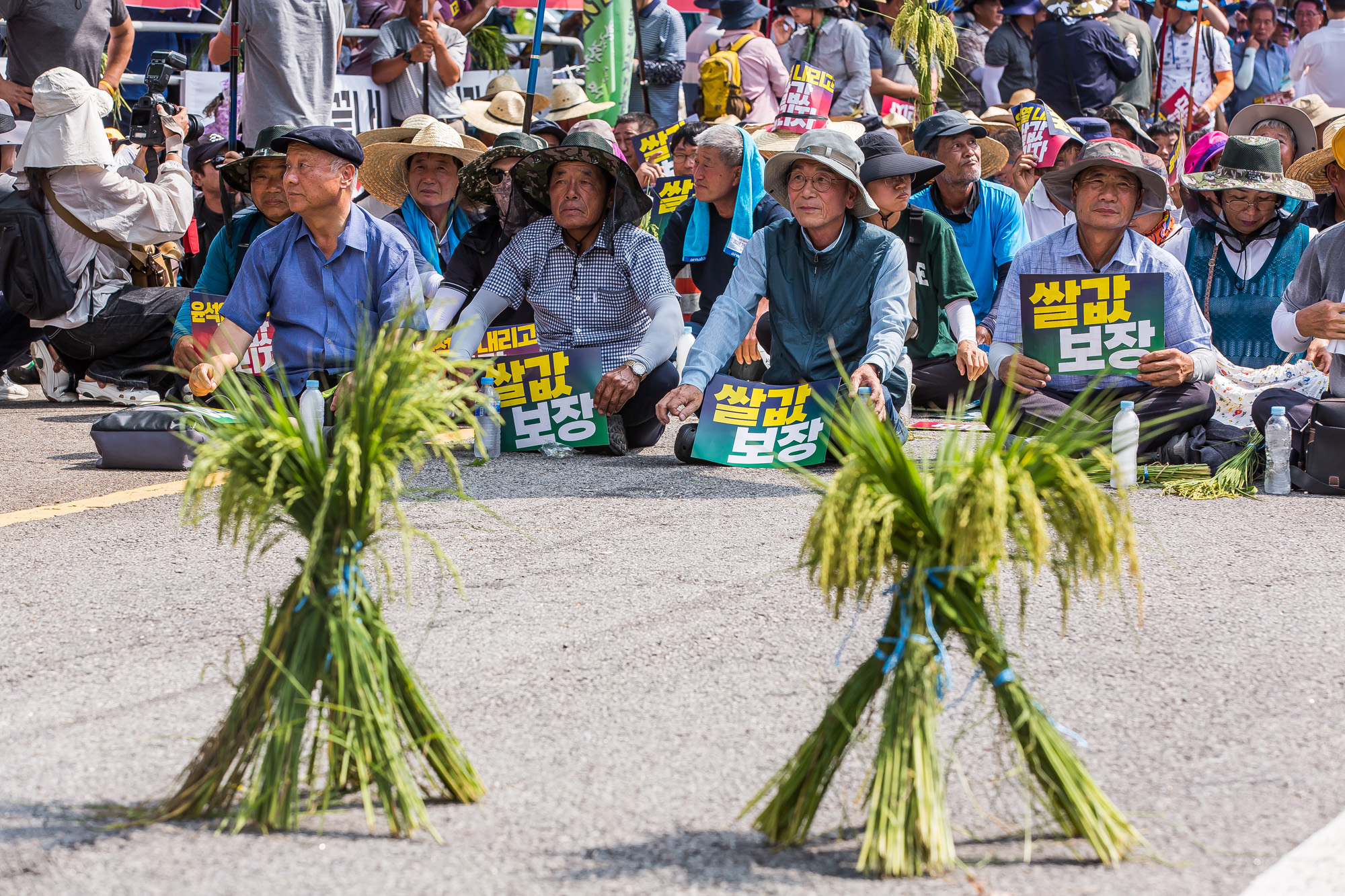 사회;집회;시위;전국농민회총연맹;전국쌀생산자협회;농민단체;쌀값보장농민대회;쌀값대폭락;농민생존권보장촉구
