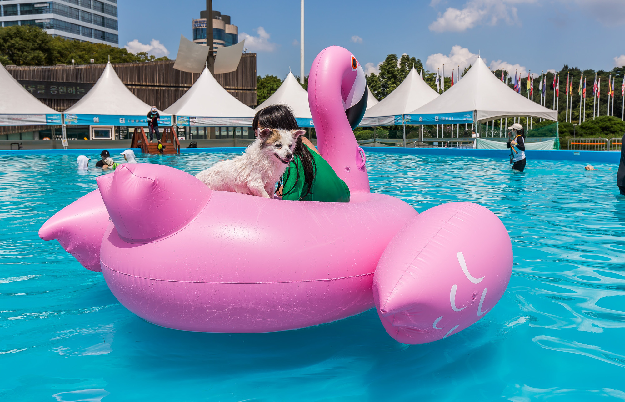 사회;세태;무더위;여름스케치;폭염스케치;반려견물놀이장;올림픽공원평화의문광장;하하호호올림픽반려견물놀이장;반려견물놀이;여름물놀이