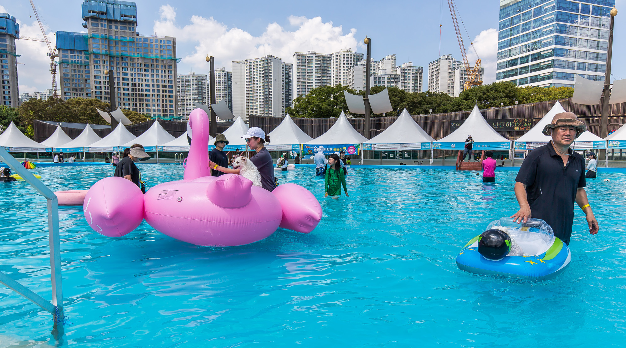 사회;세태;무더위;여름스케치;폭염스케치;반려견물놀이장;올림픽공원평화의문광장;하하호호올림픽반려견물놀이장;반려견물놀이;여름물놀이