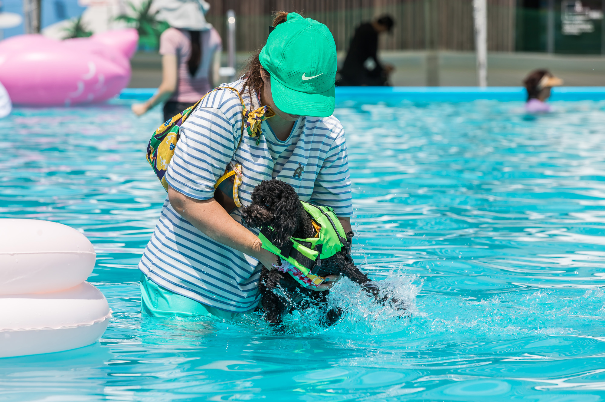 사회;세태;무더위;여름스케치;폭염스케치;반려견물놀이장;올림픽공원평화의문광장;하하호호올림픽반려견물놀이장;반려견물놀이;여름물놀이