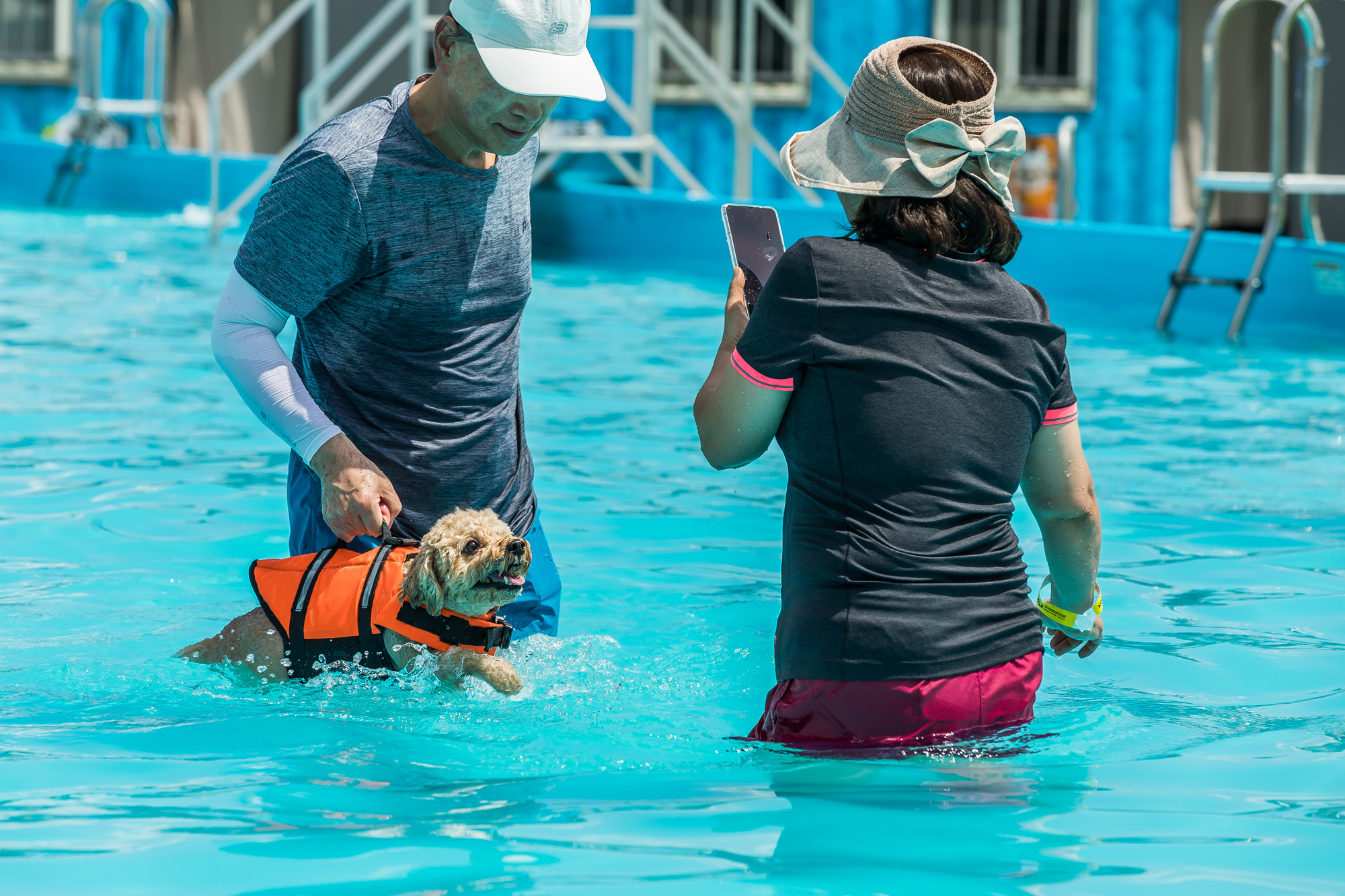 사회;세태;무더위;여름스케치;폭염스케치;반려견물놀이장;올림픽공원평화의문광장;하하호호올림픽반려견물놀이장;반려견물놀이;여름물놀이