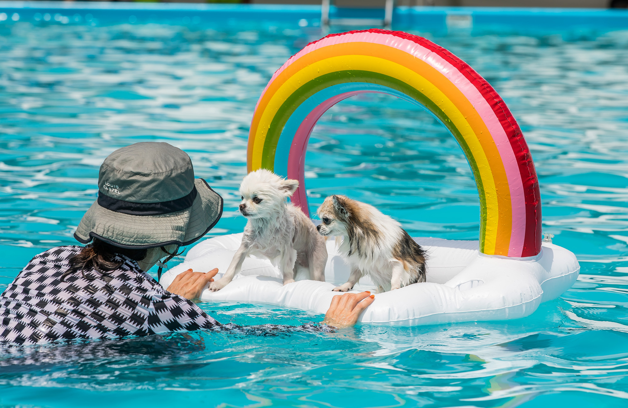 사회;세태;무더위;여름스케치;폭염스케치;반려견물놀이장;올림픽공원평화의문광장;하하호호올림픽반려견물놀이장;반려견물놀이;여름물놀이