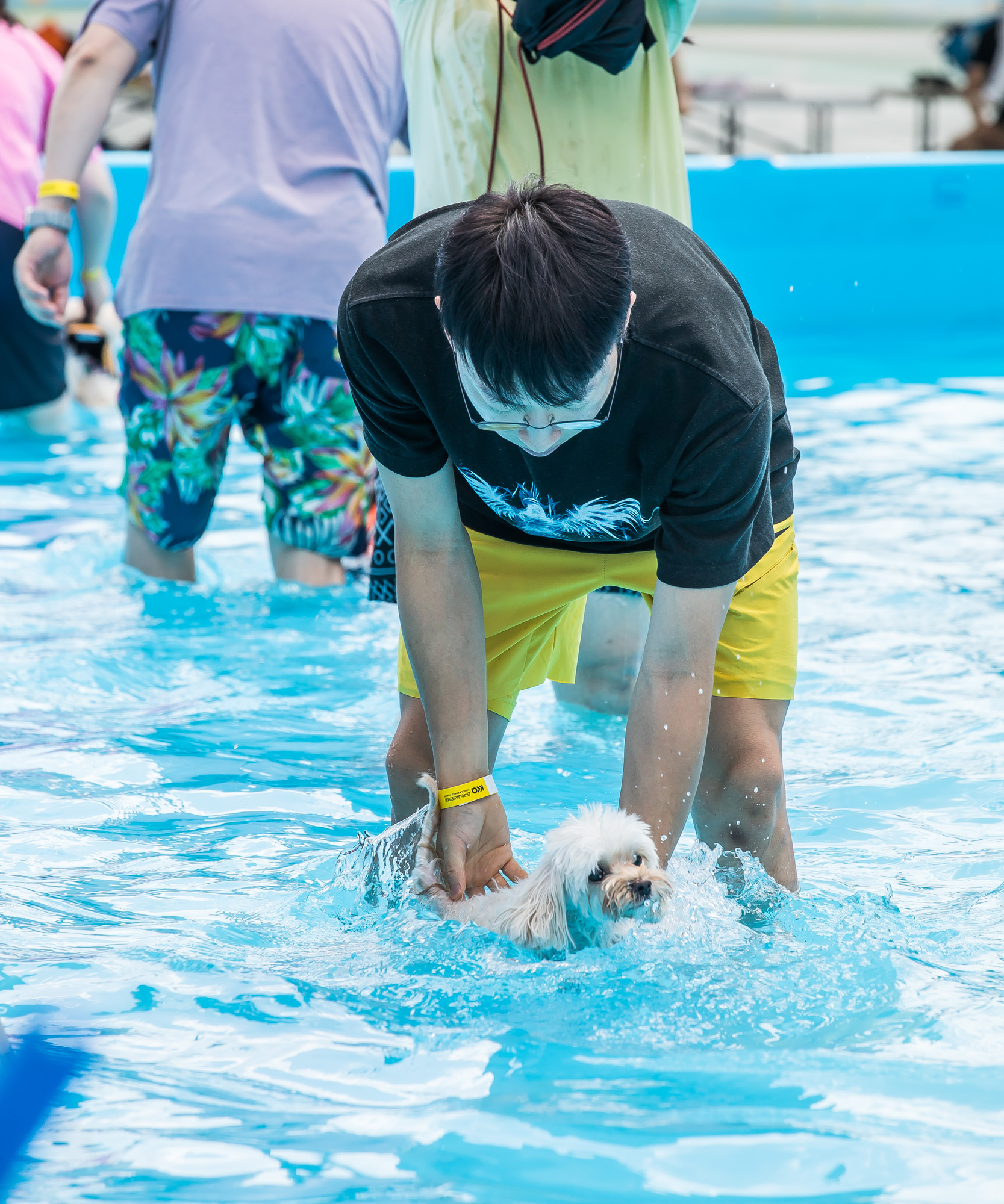 사회;세태;무더위;여름스케치;폭염스케치;반려견물놀이장;올림픽공원평화의문광장;하하호호올림픽반려견물놀이장;반려견물놀이;여름물놀이