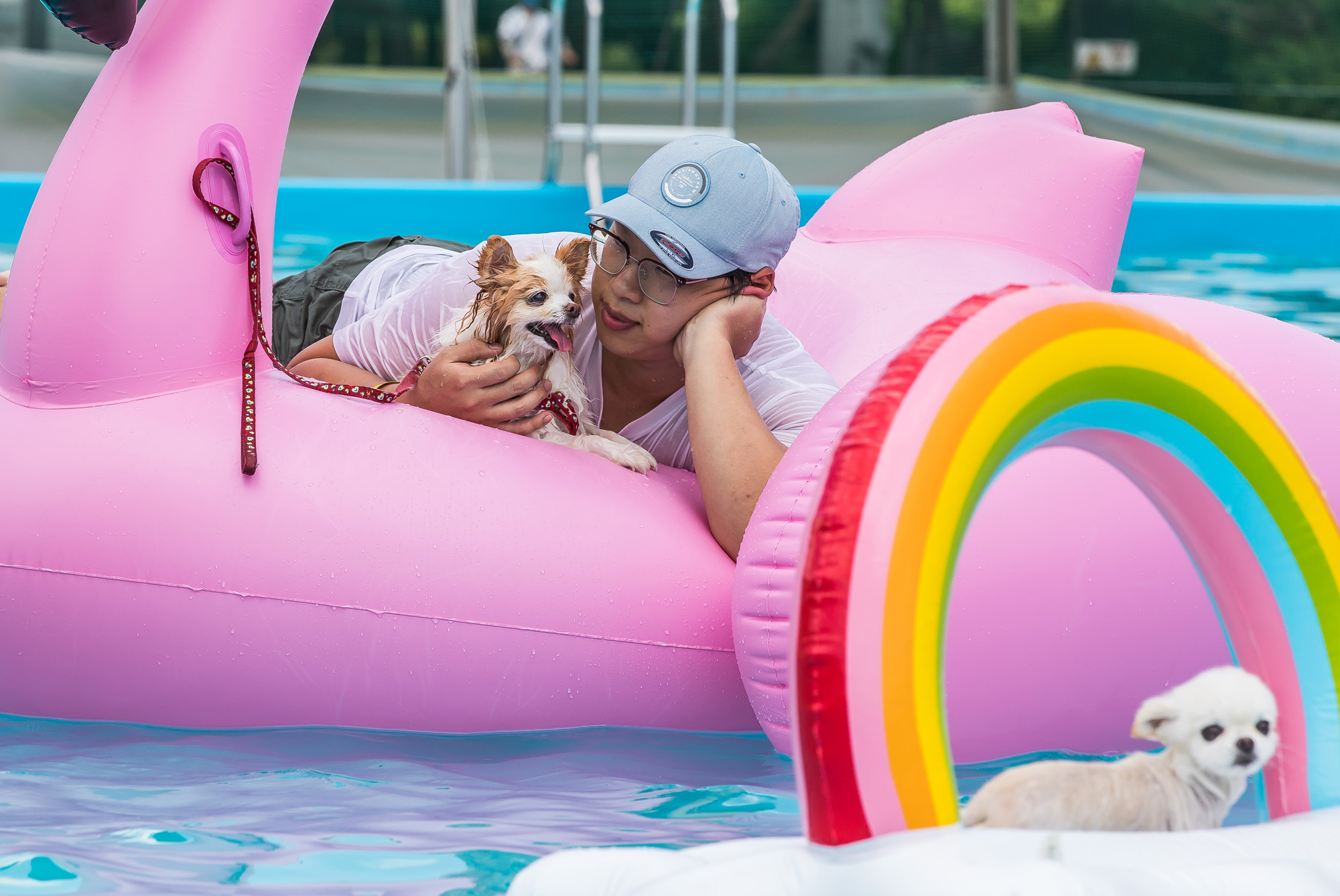 사회;세태;무더위;여름스케치;폭염스케치;반려견물놀이장;올림픽공원평화의문광장;하하호호올림픽반려견물놀이장;반려견물놀이;여름물놀이