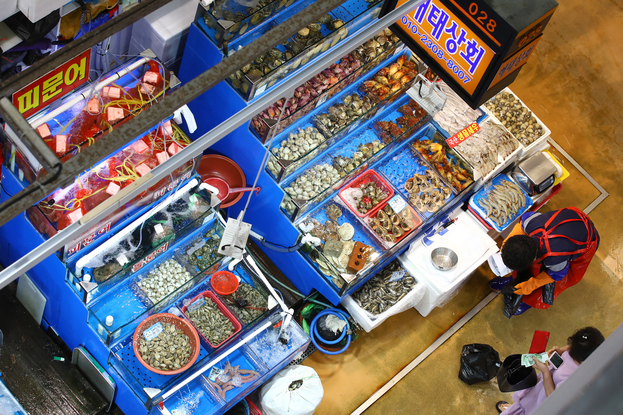 노량진 수산사장