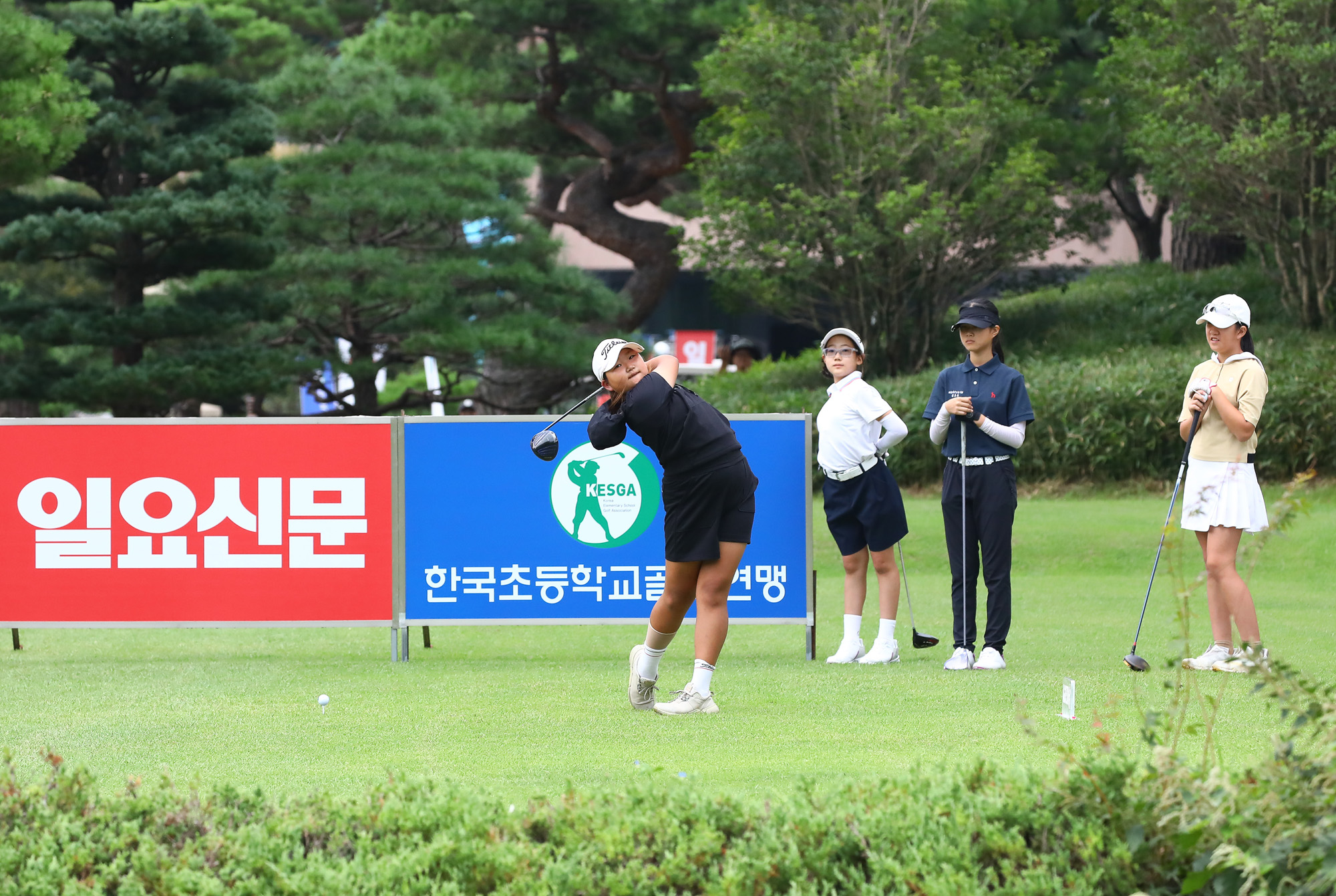 일요신문;골프 꿈나무;한국초등학교;골프연맹회장배;전국학생골프대회