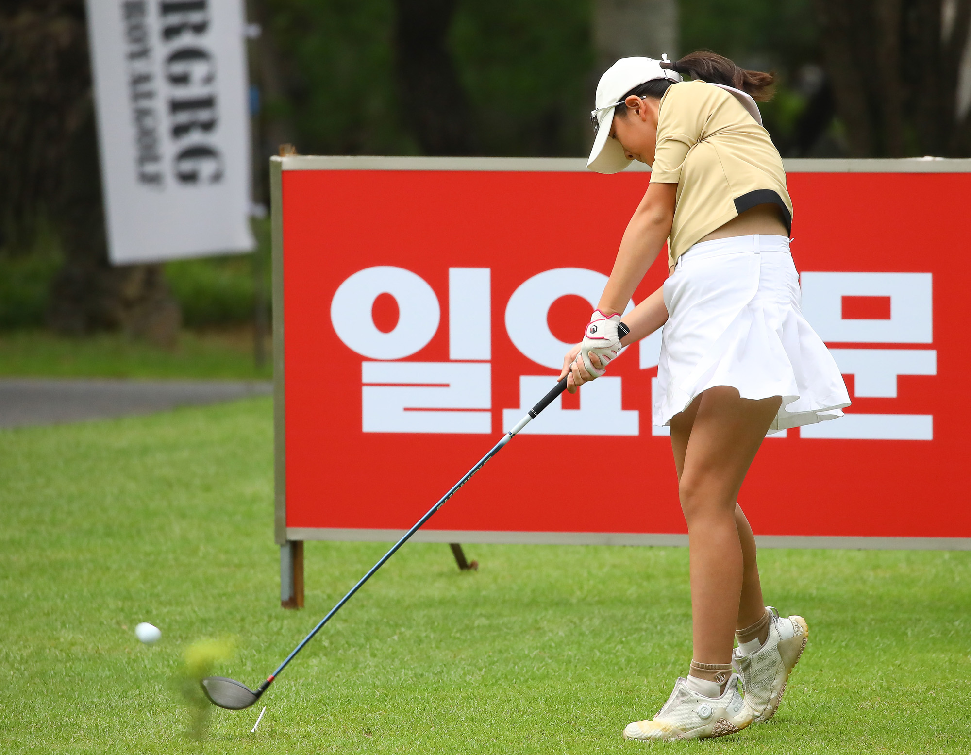 일요신문;골프 꿈나무;한국초등학교;골프연맹회장배;전국학생골프대회