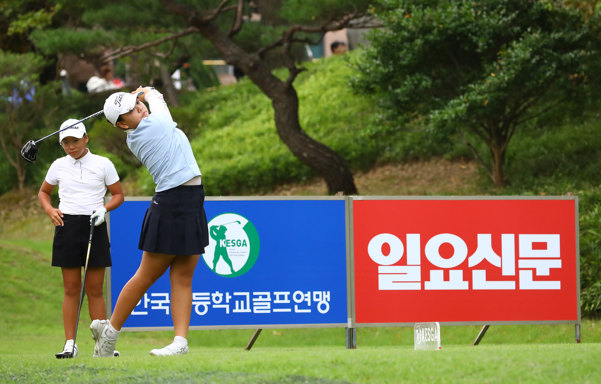 일요신문;골프 꿈나무;한국초등학교;골프연맹회장배;전국학생골프대회
