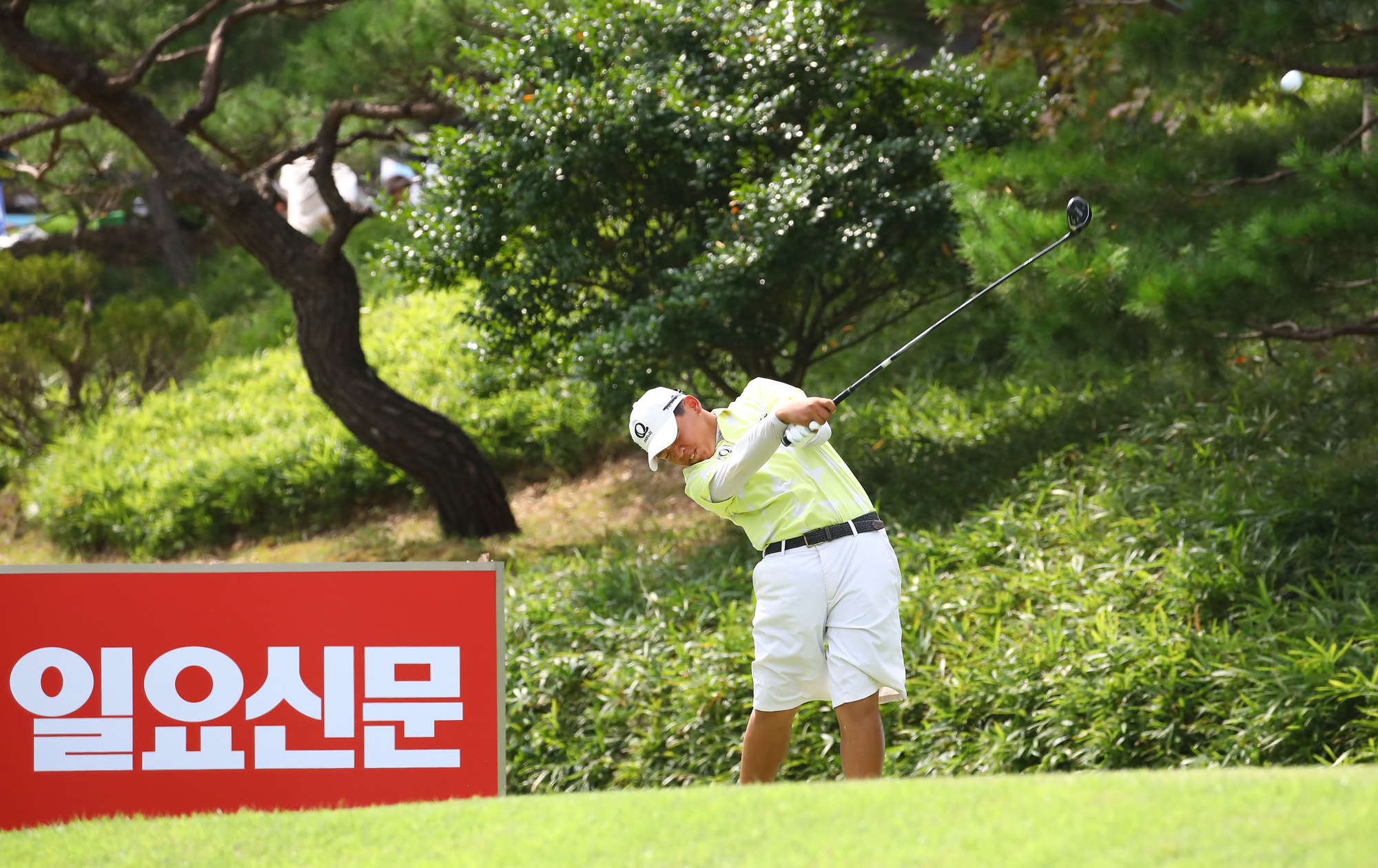 일요신문;골프 꿈나무;한국초등학교;골프연맹회장배;전국학생골프대회