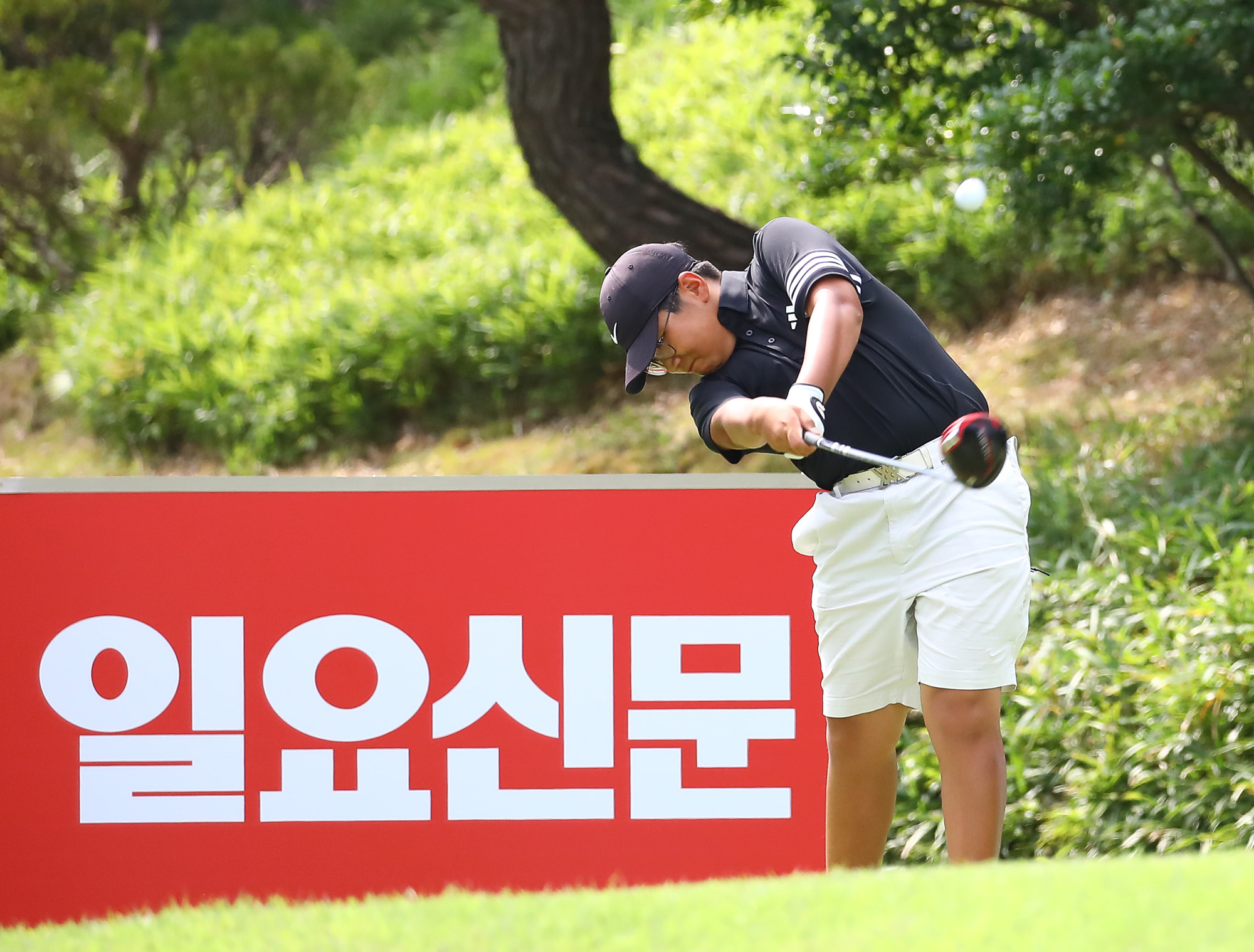 일요신문;골프 꿈나무;한국초등학교;골프연맹회장배;전국학생골프대회