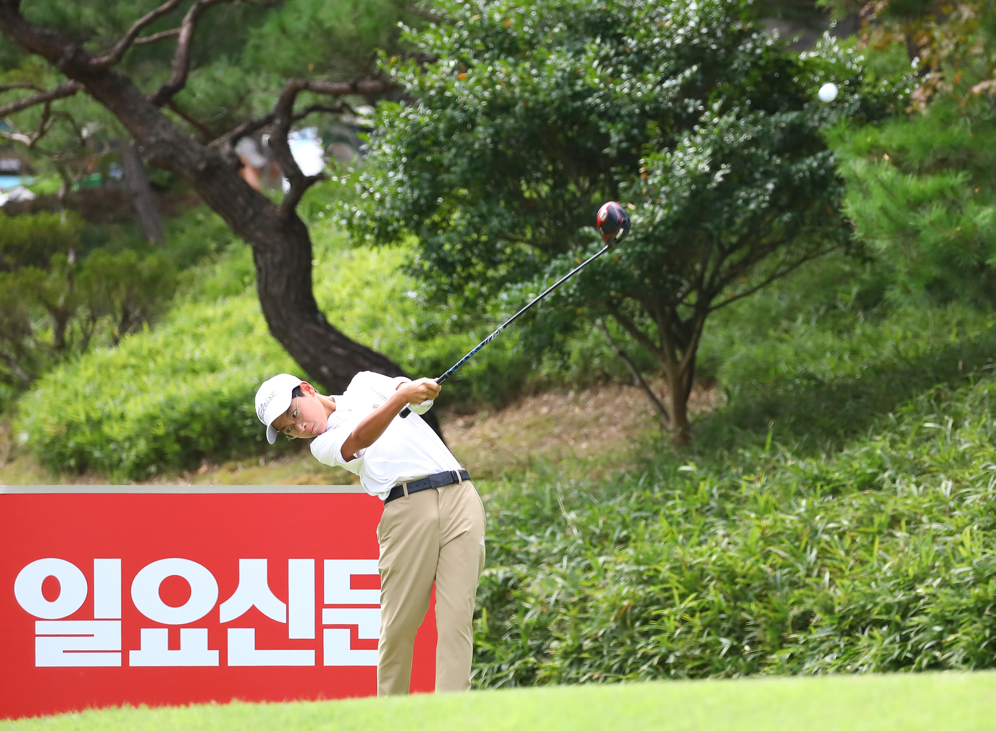 일요신문;골프 꿈나무;한국초등학교;골프연맹회장배;전국학생골프대회